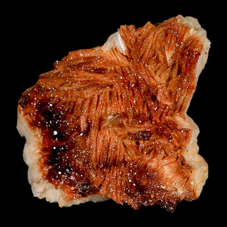 3.6" Sparkly Orange Vanadinite Crystals Orange Barite Blades Mineral Mabladen Morocco