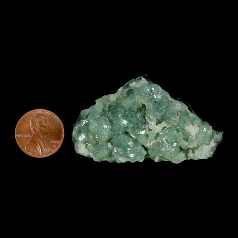 2.2" Rough Green Prehnite Crystal Mineral Specimen Location Imilchil, Morocco - Fossil Age Minerals