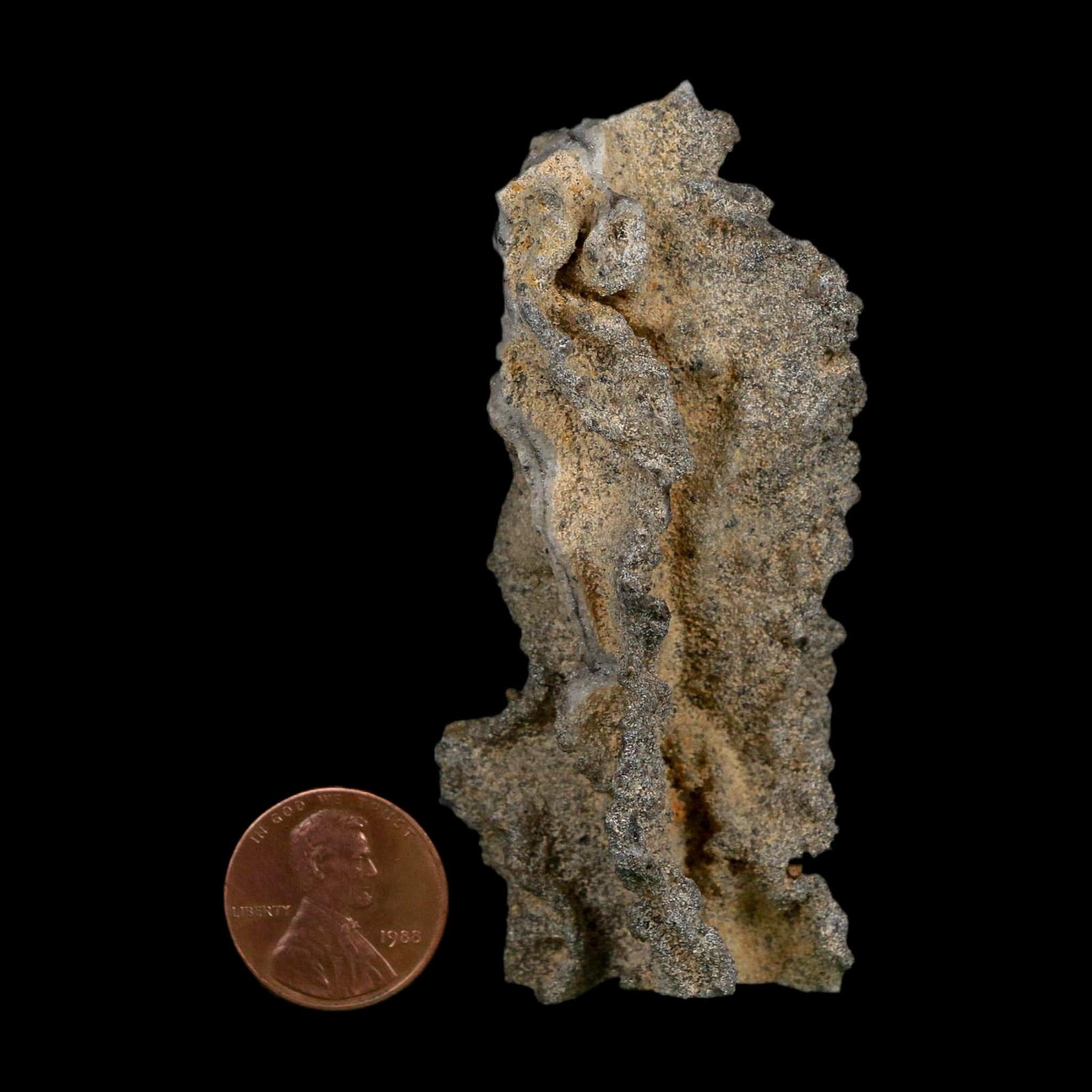 3" Fulgurite Petrified Lightning Strike Glass Sahara Desert Algeria - Fossil Age Minerals