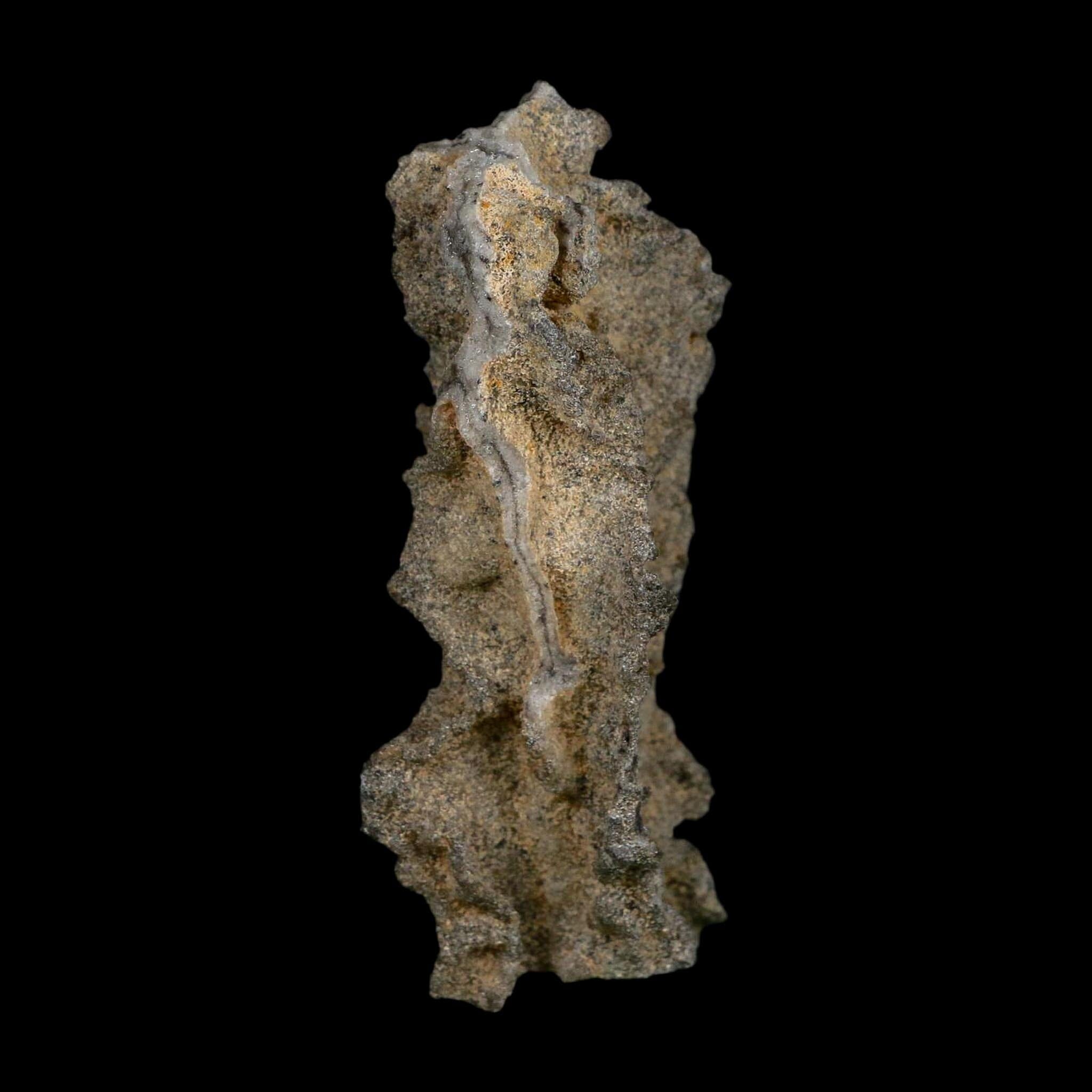 3" Fulgurite Petrified Lightning Strike Glass Sahara Desert Algeria - Fossil Age Minerals