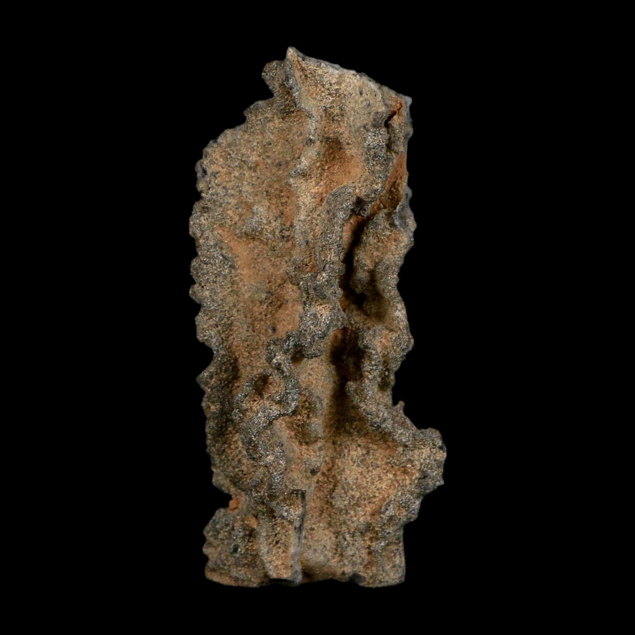 3" Fulgurite Petrified Lightning Strike Glass Sahara Desert Algeria - Fossil Age Minerals