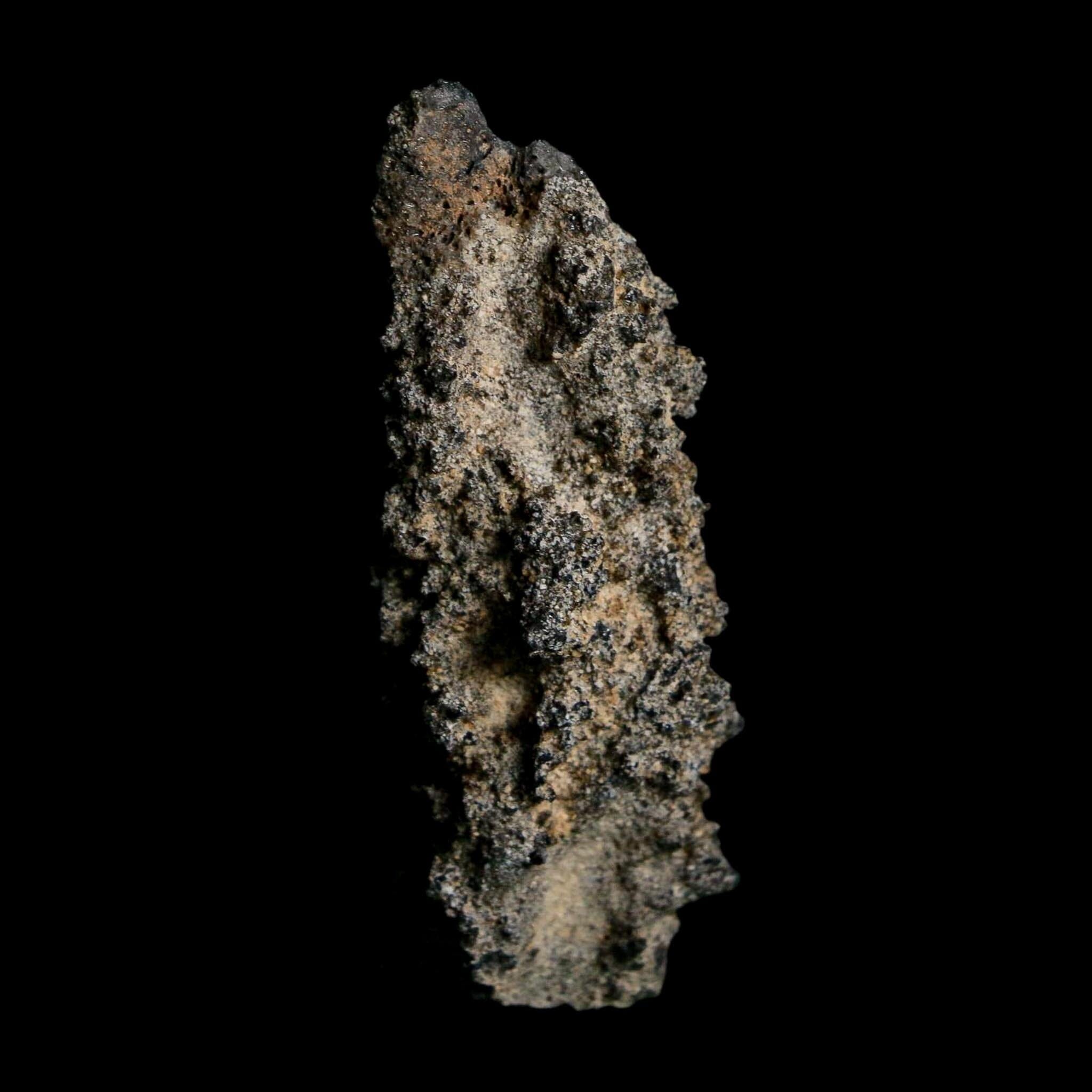 2.5" Fulgurite Petrified Lightning Strike Glass Sahara Desert Algeria - Fossil Age Minerals