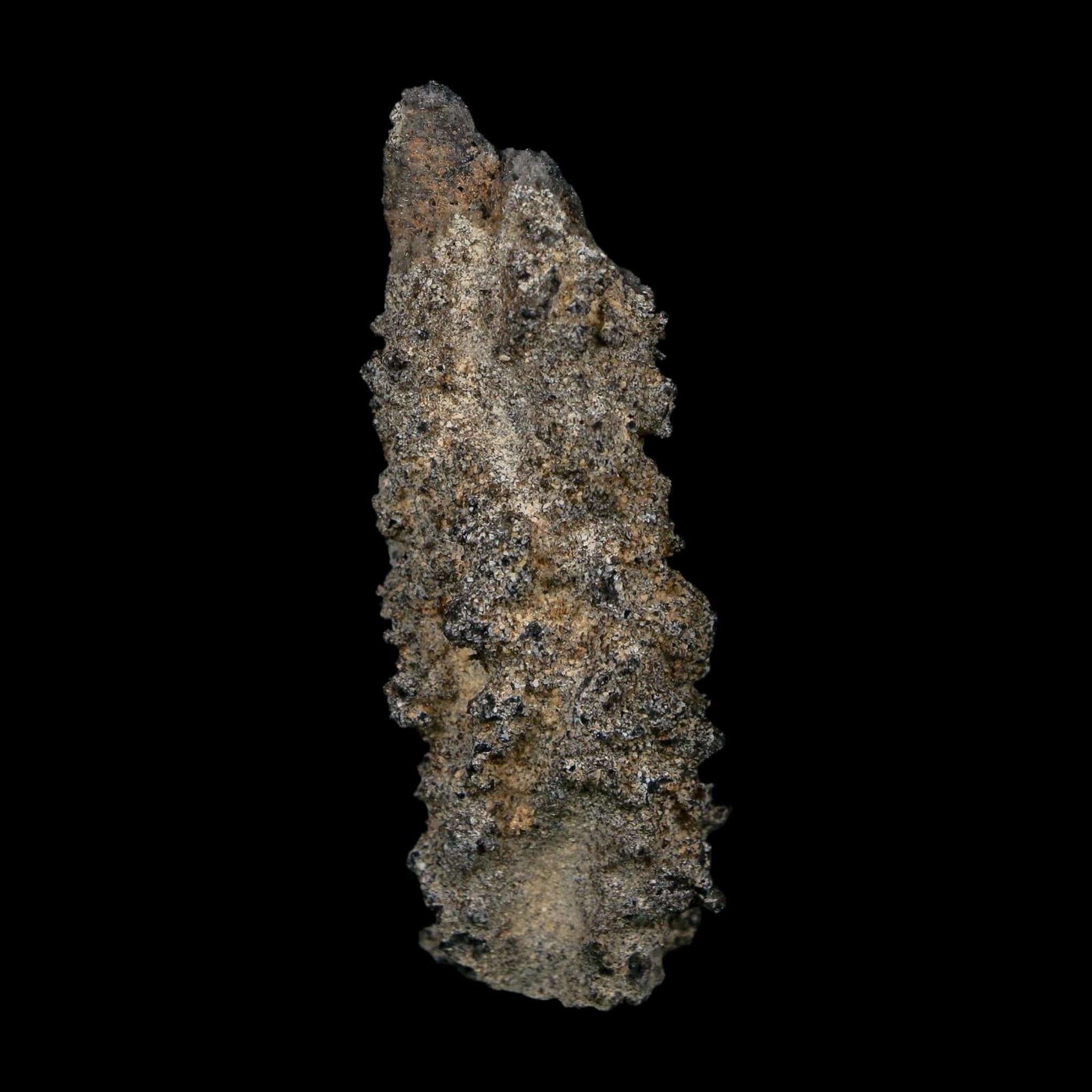 2.5" Fulgurite Petrified Lightning Strike Glass Sahara Desert Algeria - Fossil Age Minerals