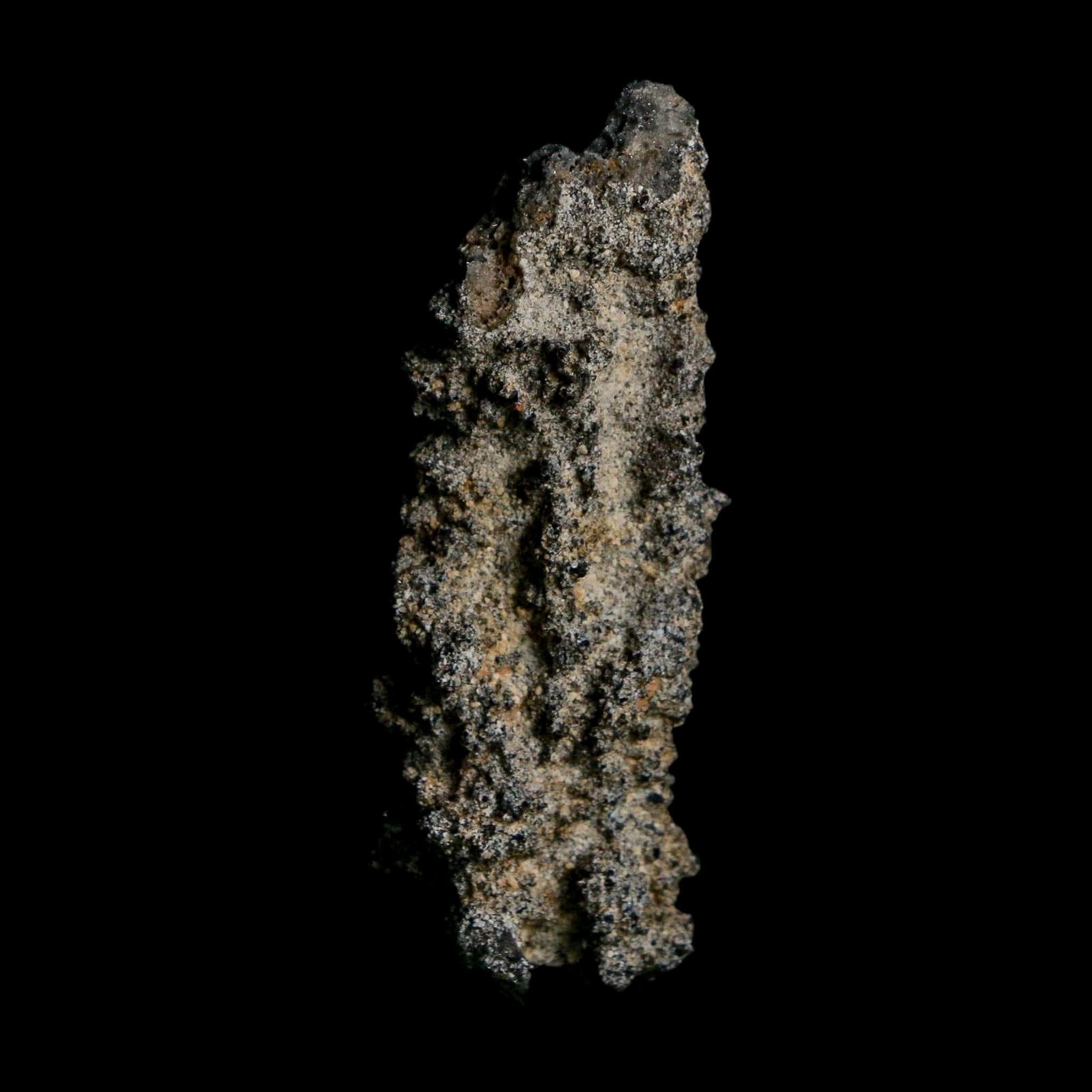 2.5" Fulgurite Petrified Lightning Strike Glass Sahara Desert Algeria - Fossil Age Minerals