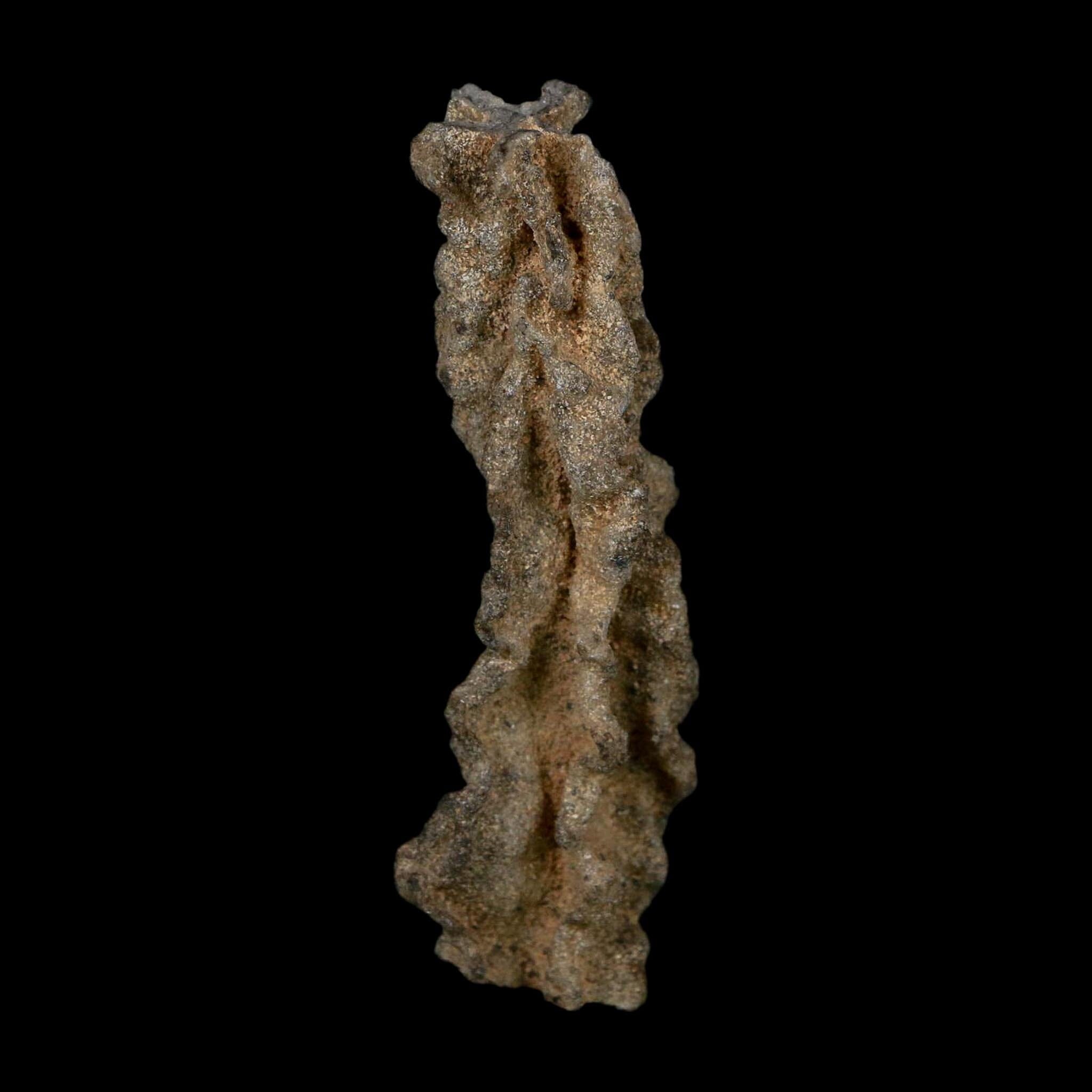 3.1" Fulgurite Petrified Lightning Strike Glass Sahara Desert Algeria - Fossil Age Minerals