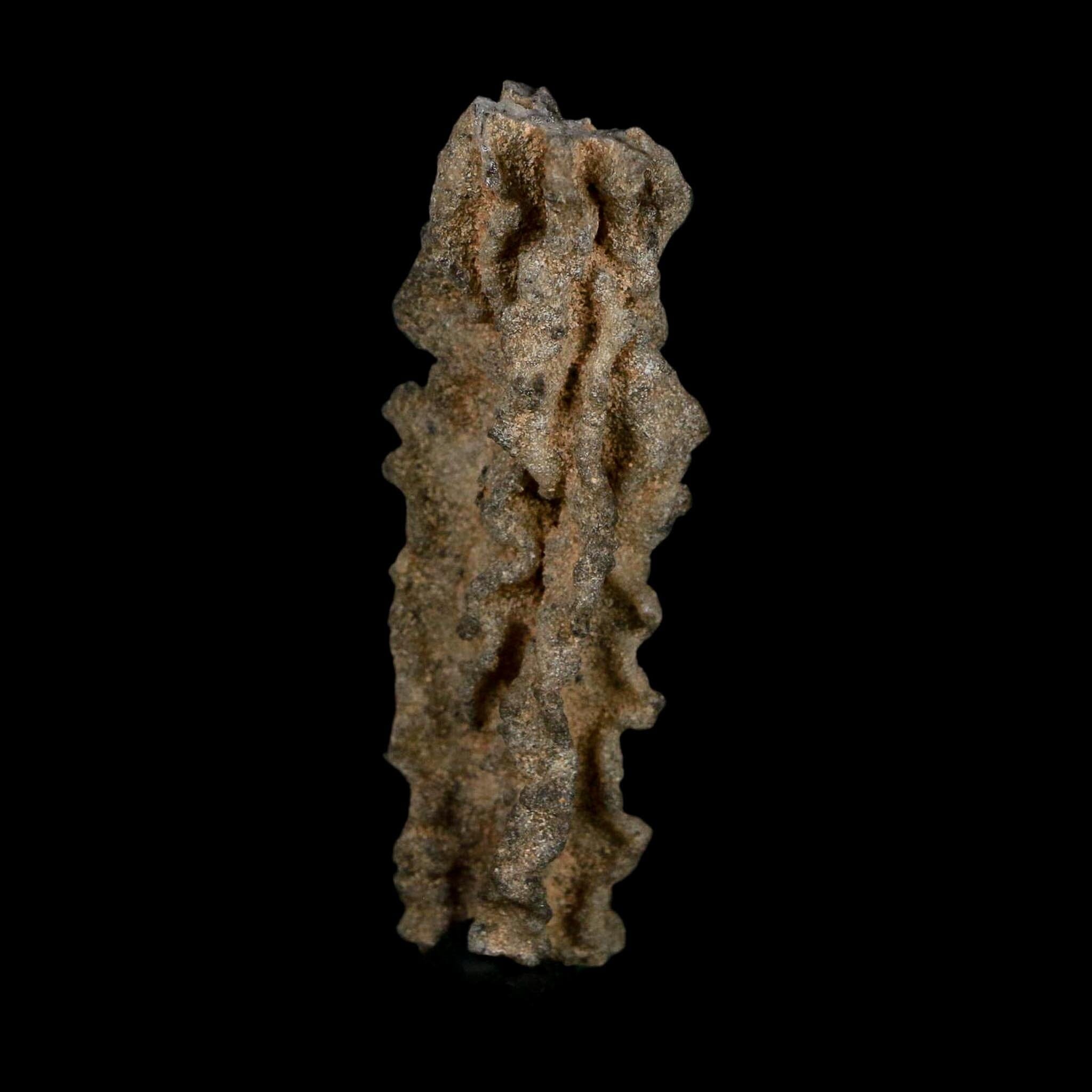 3.1" Fulgurite Petrified Lightning Strike Glass Sahara Desert Algeria - Fossil Age Minerals