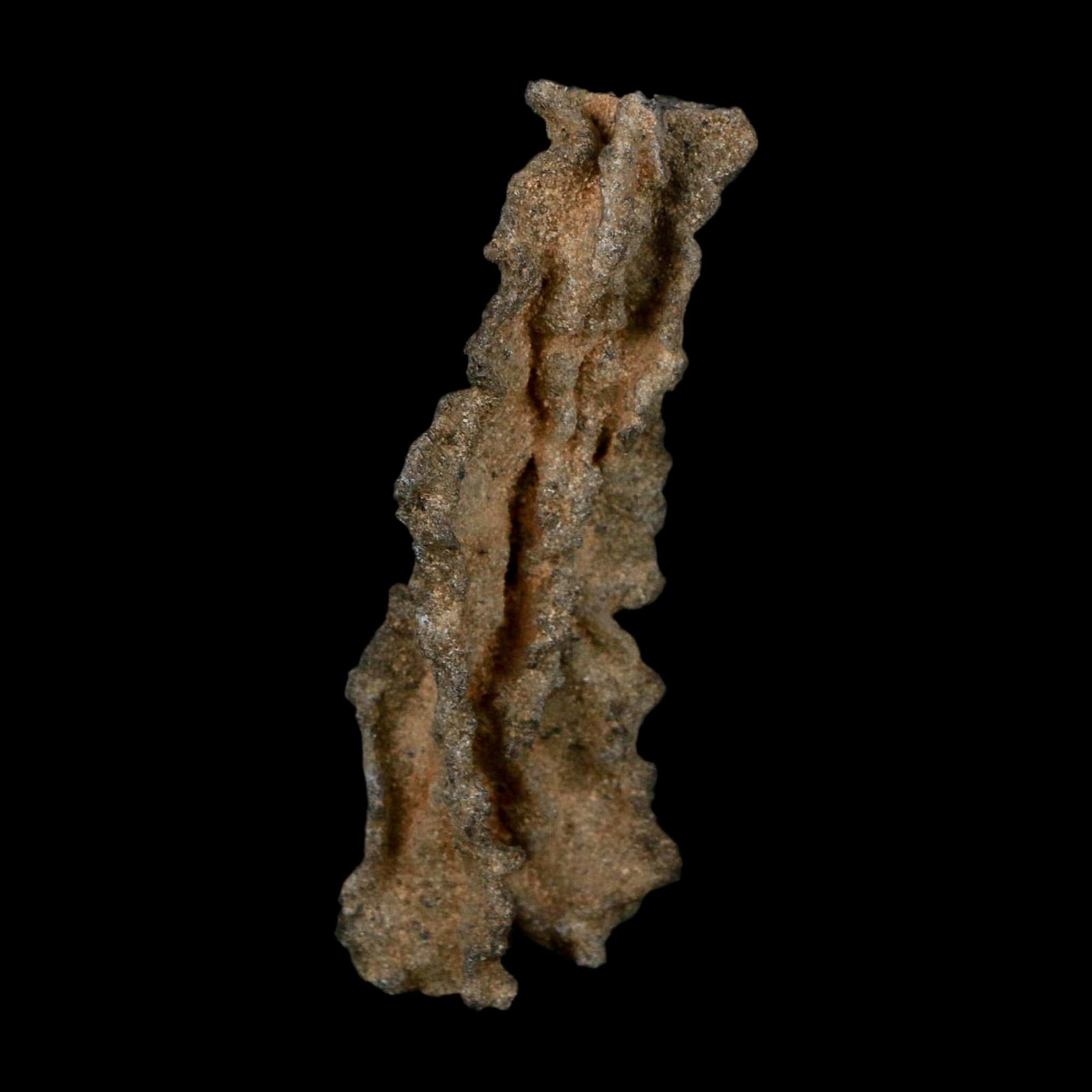 3.1" Fulgurite Petrified Lightning Strike Glass Sahara Desert Algeria - Fossil Age Minerals
