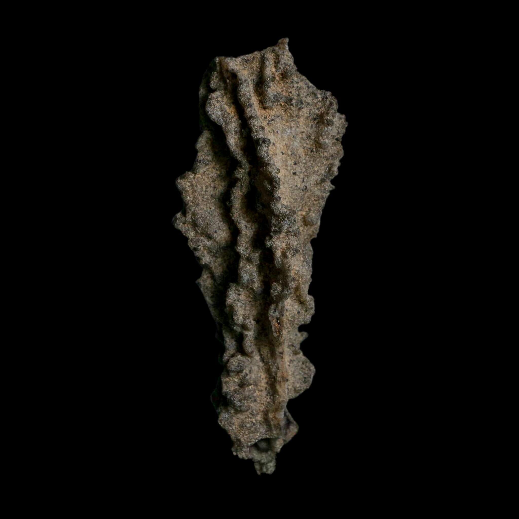 3.5" Fulgurite Petrified Lightning Strike Glass Sahara Desert Algeria - Fossil Age Minerals