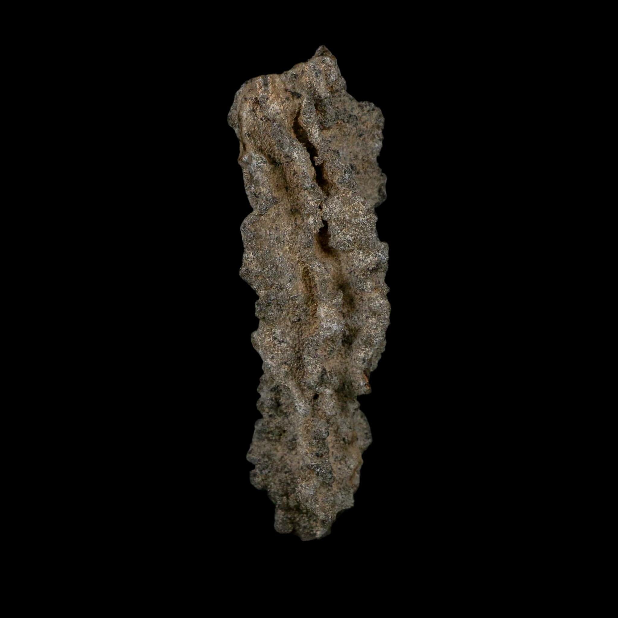 3.5" Fulgurite Petrified Lightning Strike Glass Sahara Desert Algeria - Fossil Age Minerals