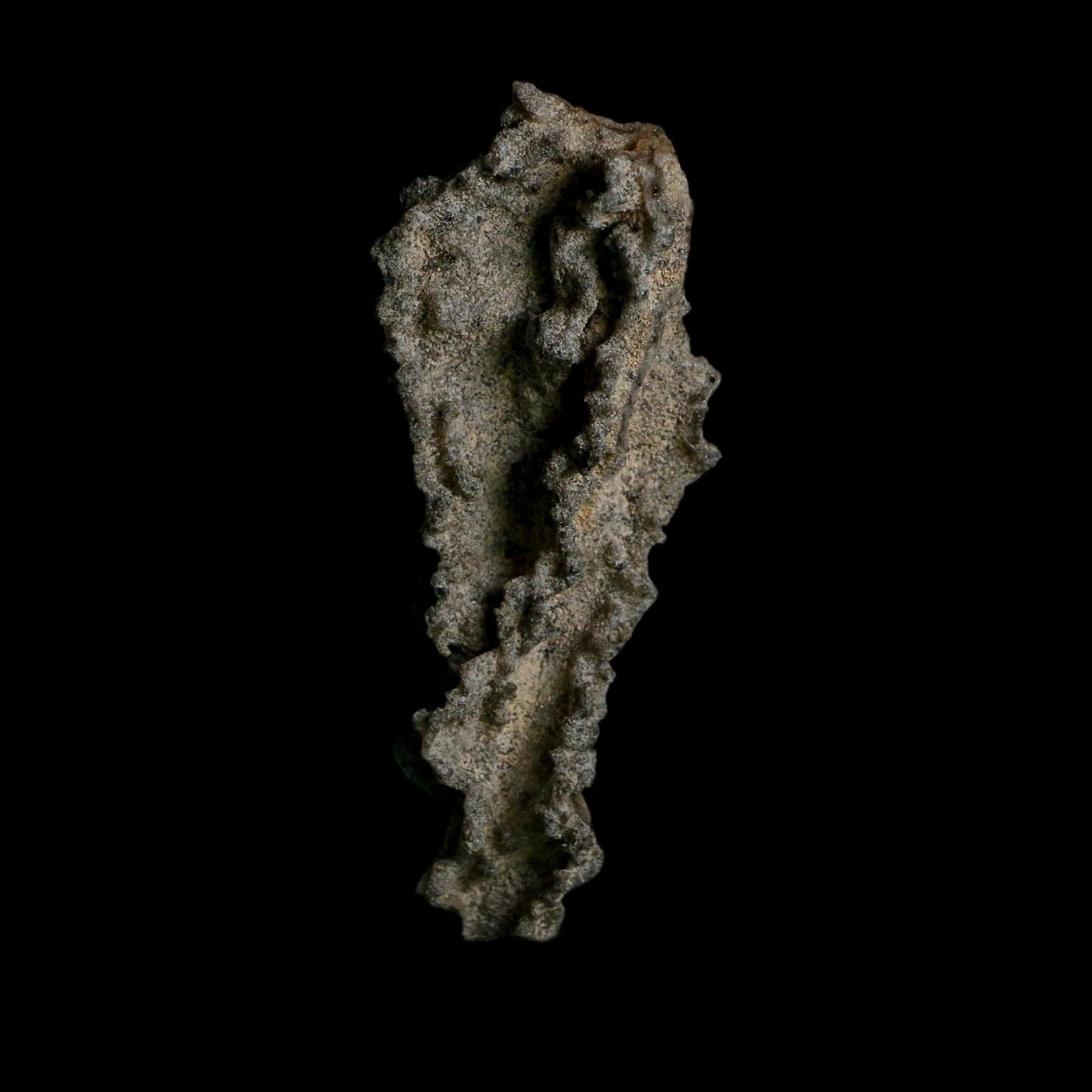 3.5" Fulgurite Petrified Lightning Strike Glass Sahara Desert Algeria - Fossil Age Minerals