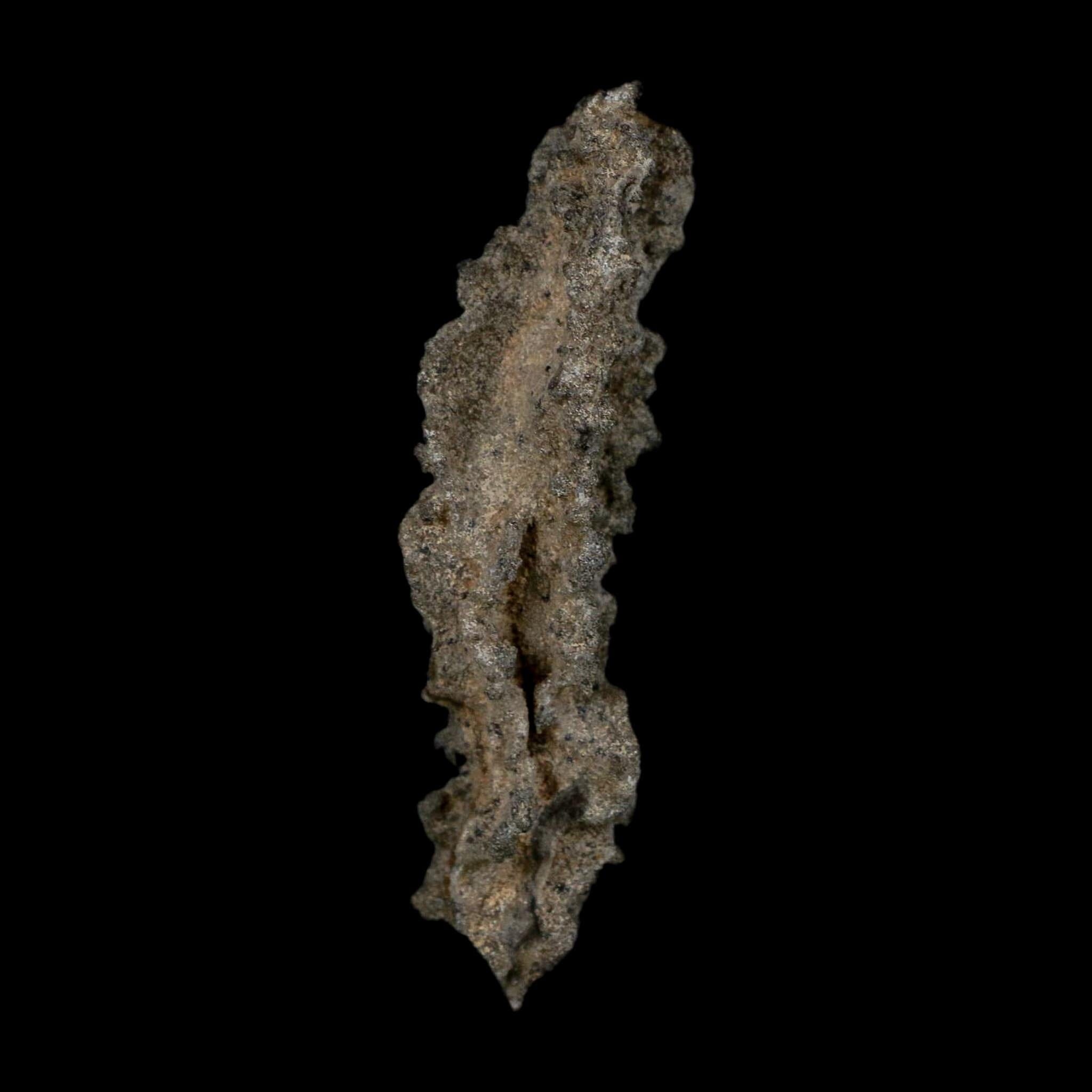 3.5" Fulgurite Petrified Lightning Strike Glass Sahara Desert Algeria - Fossil Age Minerals