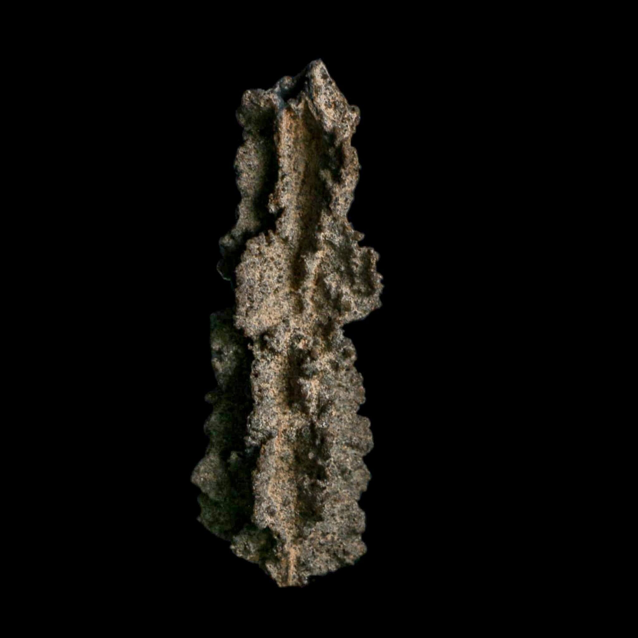 3.9" Fulgurite Petrified Lightning Strike Glass Sahara Desert Algeria - Fossil Age Minerals