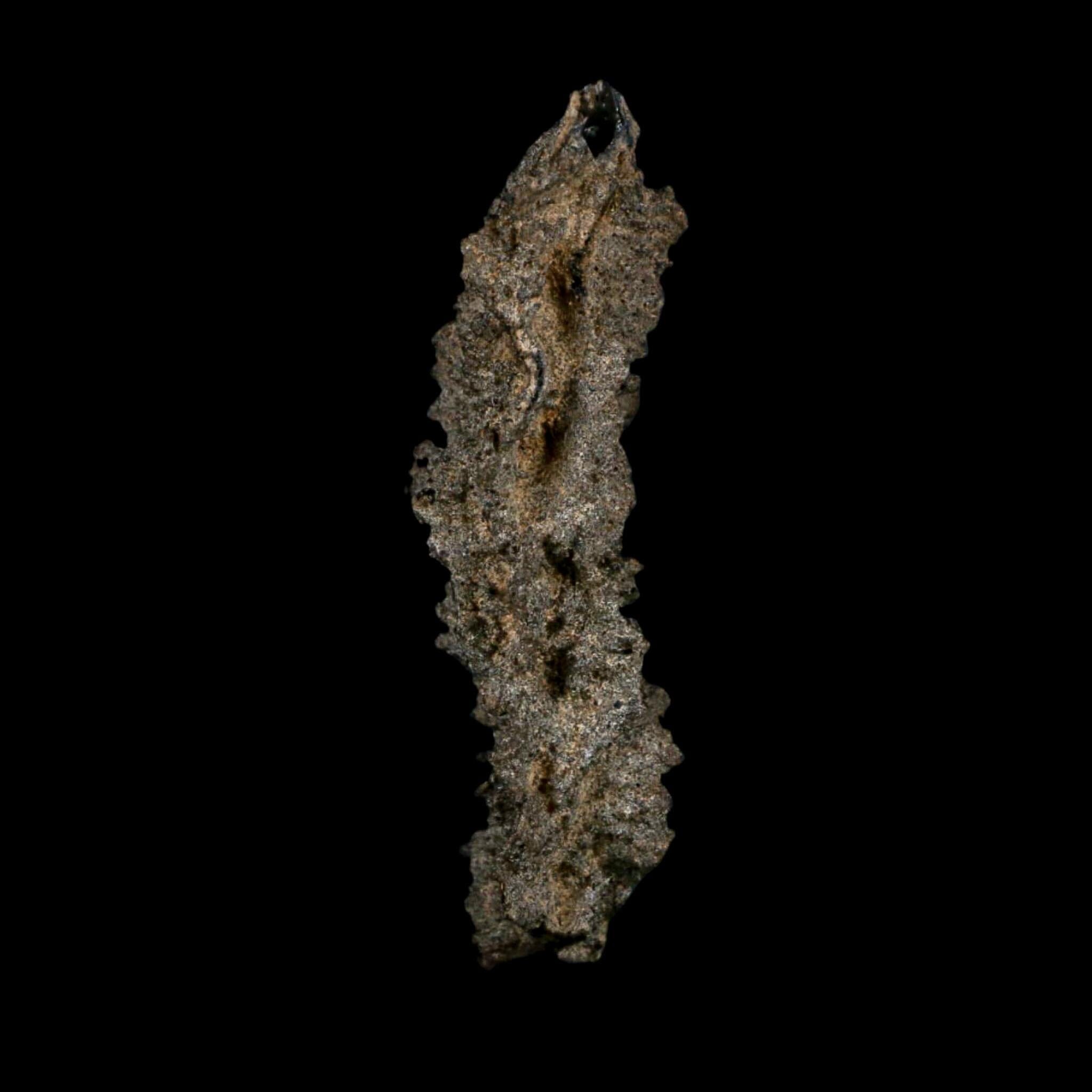 3.9" Fulgurite Petrified Lightning Strike Glass Sahara Desert Algeria - Fossil Age Minerals