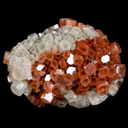 2.1" Aragonite Mineral Two Tone Crystal Cluster Specimen Tazouta Morocco