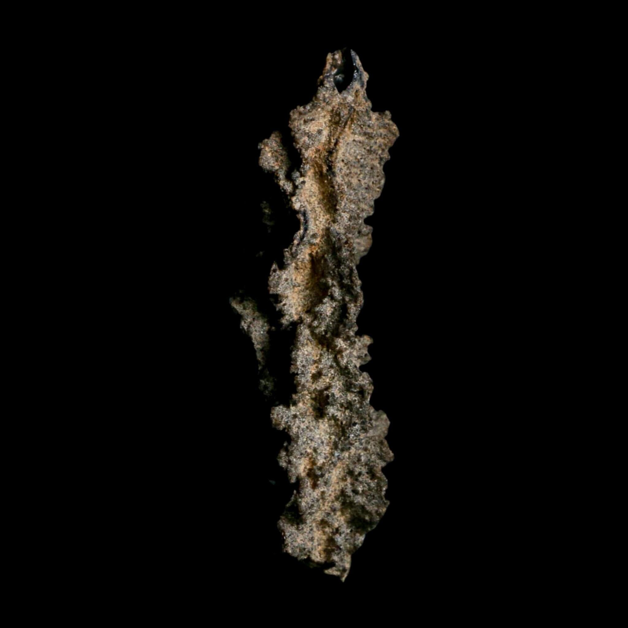 3.9" Fulgurite Petrified Lightning Strike Glass Sahara Desert Algeria - Fossil Age Minerals