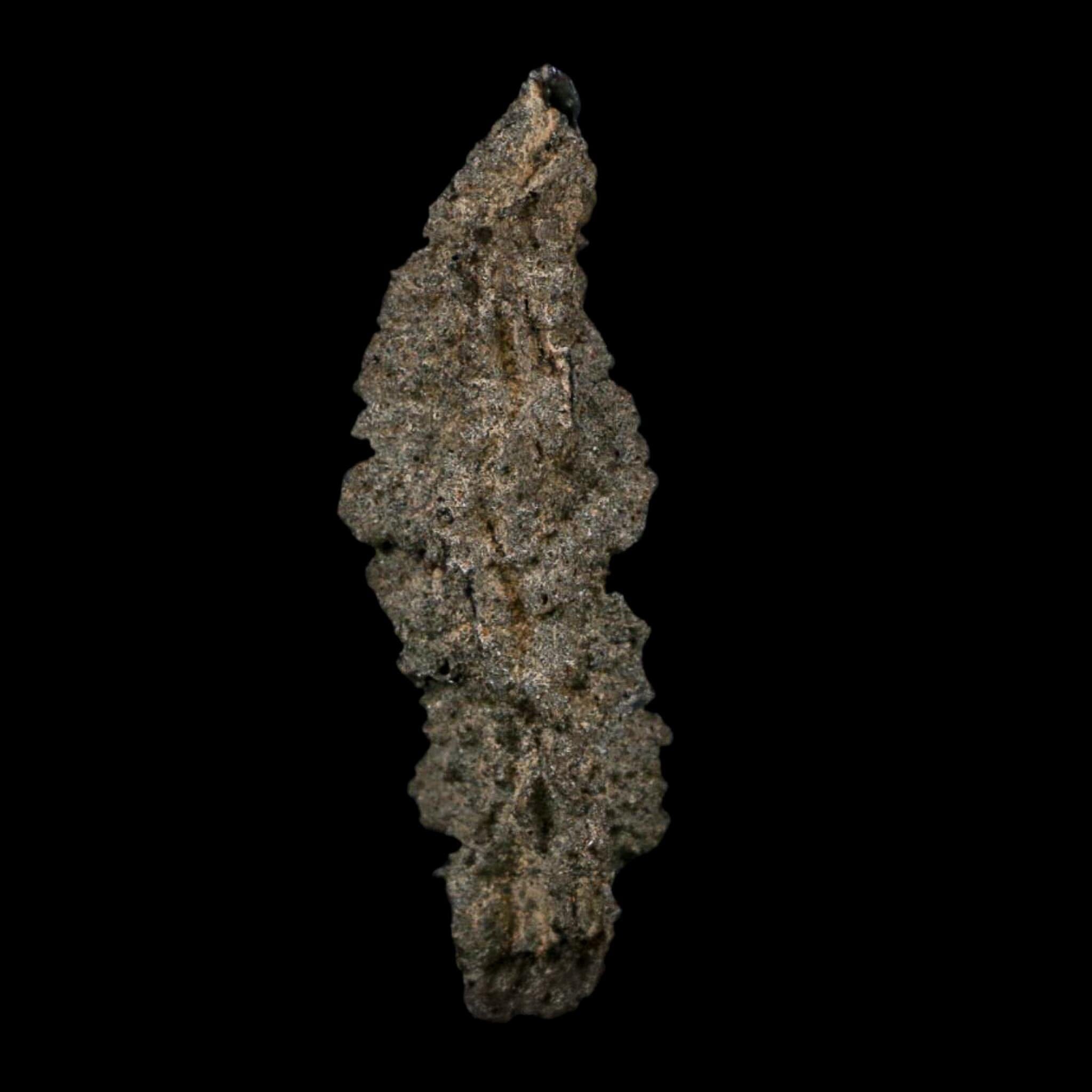 3.9" Fulgurite Petrified Lightning Strike Glass Sahara Desert Algeria - Fossil Age Minerals