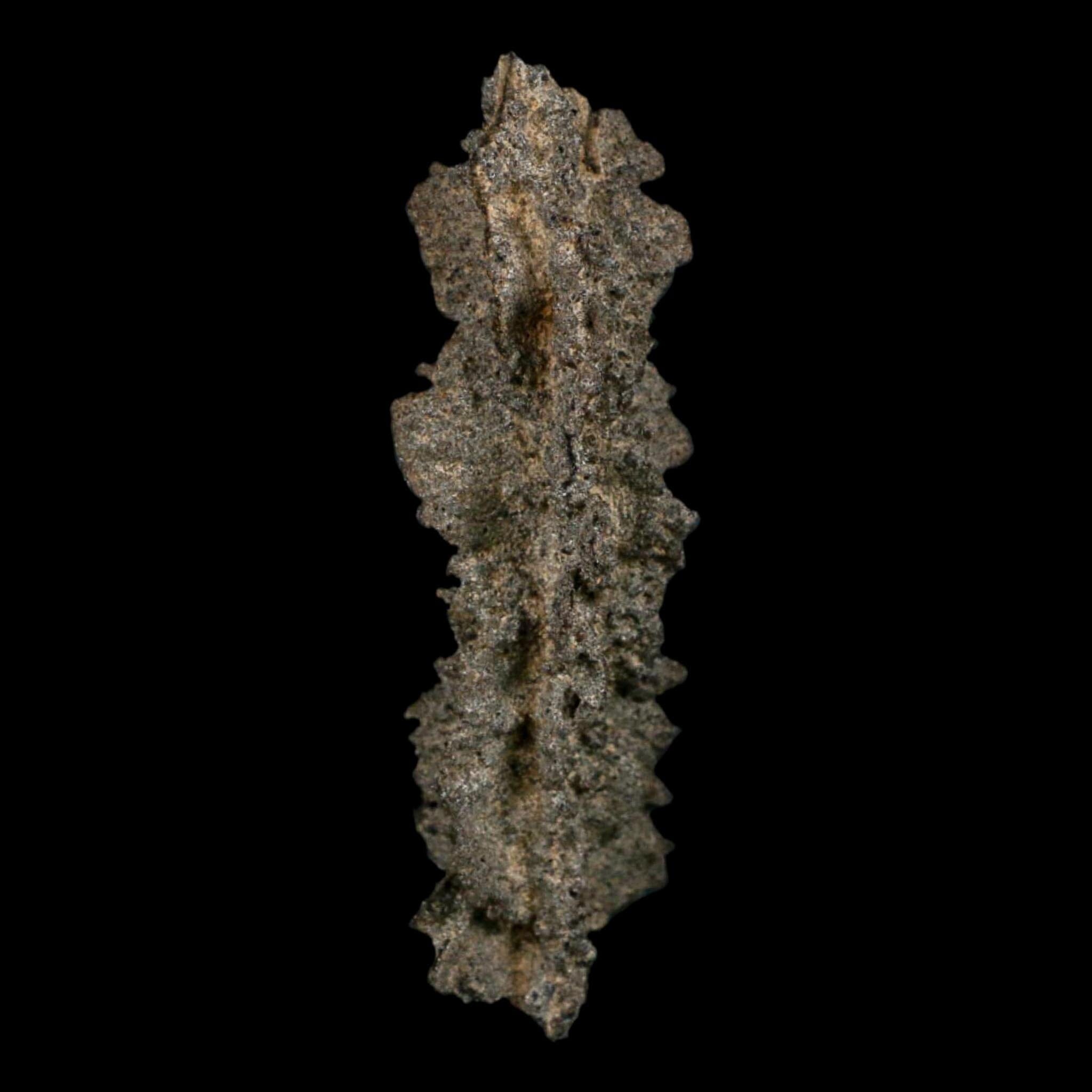 3.9" Fulgurite Petrified Lightning Strike Glass Sahara Desert Algeria - Fossil Age Minerals