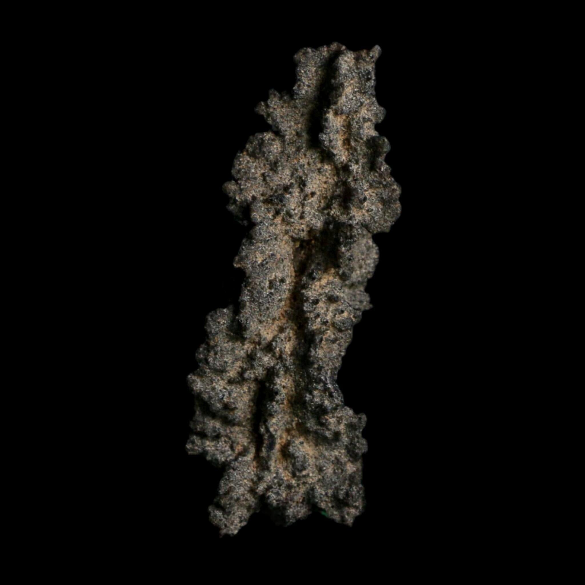 3.2" Fulgurite Petrified Lightning Strike Glass Sahara Desert Algeria - Fossil Age Minerals