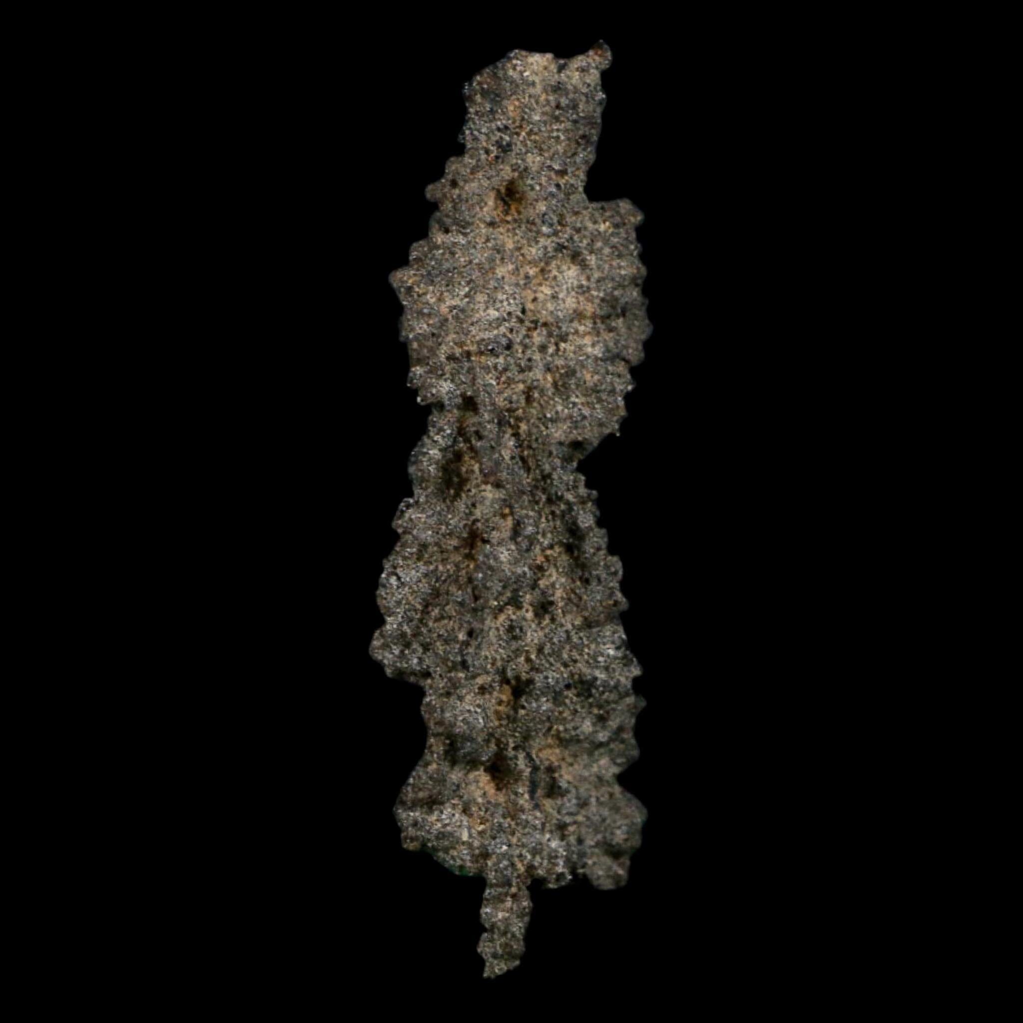 3.2" Fulgurite Petrified Lightning Strike Glass Sahara Desert Algeria - Fossil Age Minerals