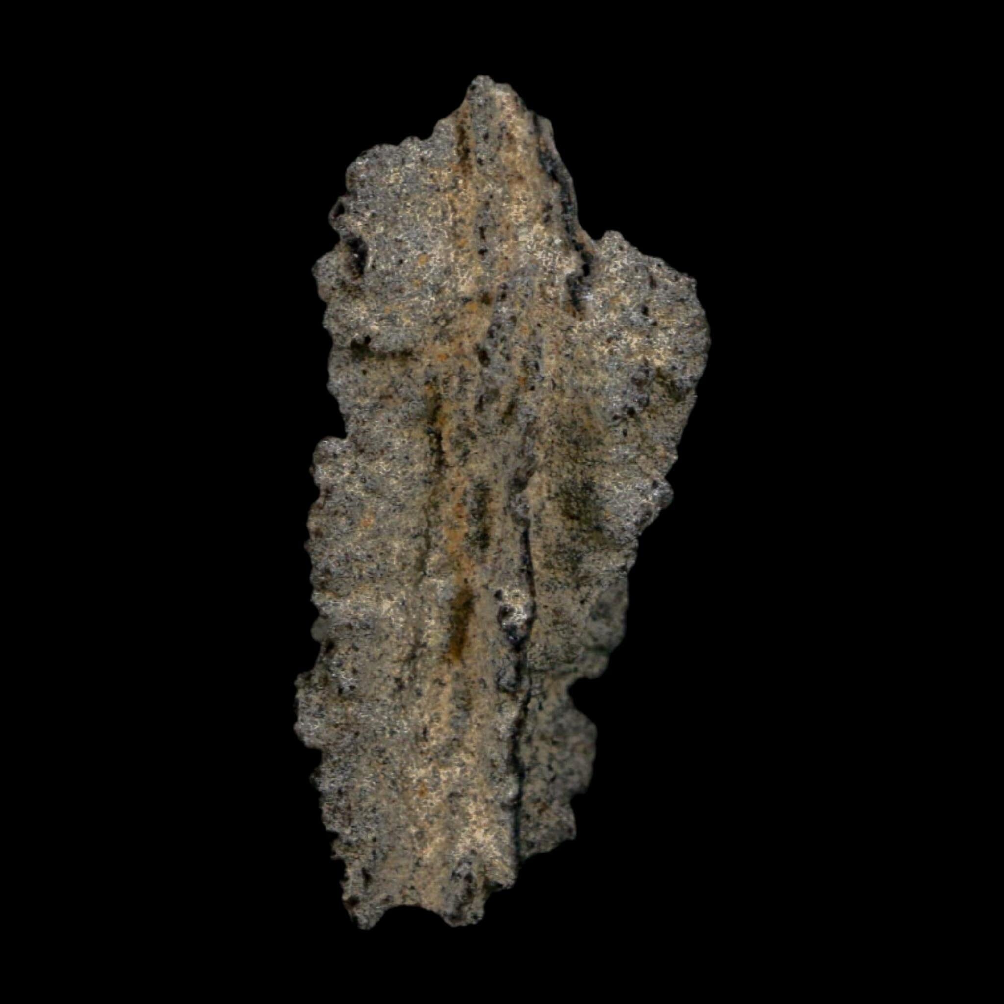 2.6" Fulgurite Petrified Lightning Strike Glass Sahara Desert Algeria - Fossil Age Minerals
