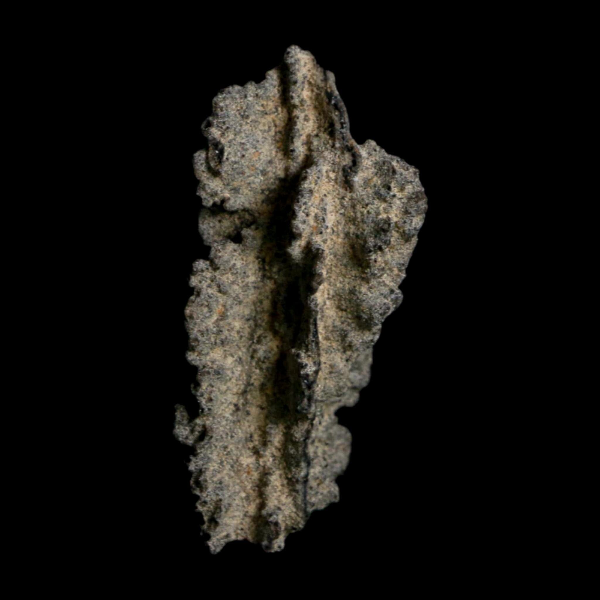 2.6" Fulgurite Petrified Lightning Strike Glass Sahara Desert Algeria - Fossil Age Minerals