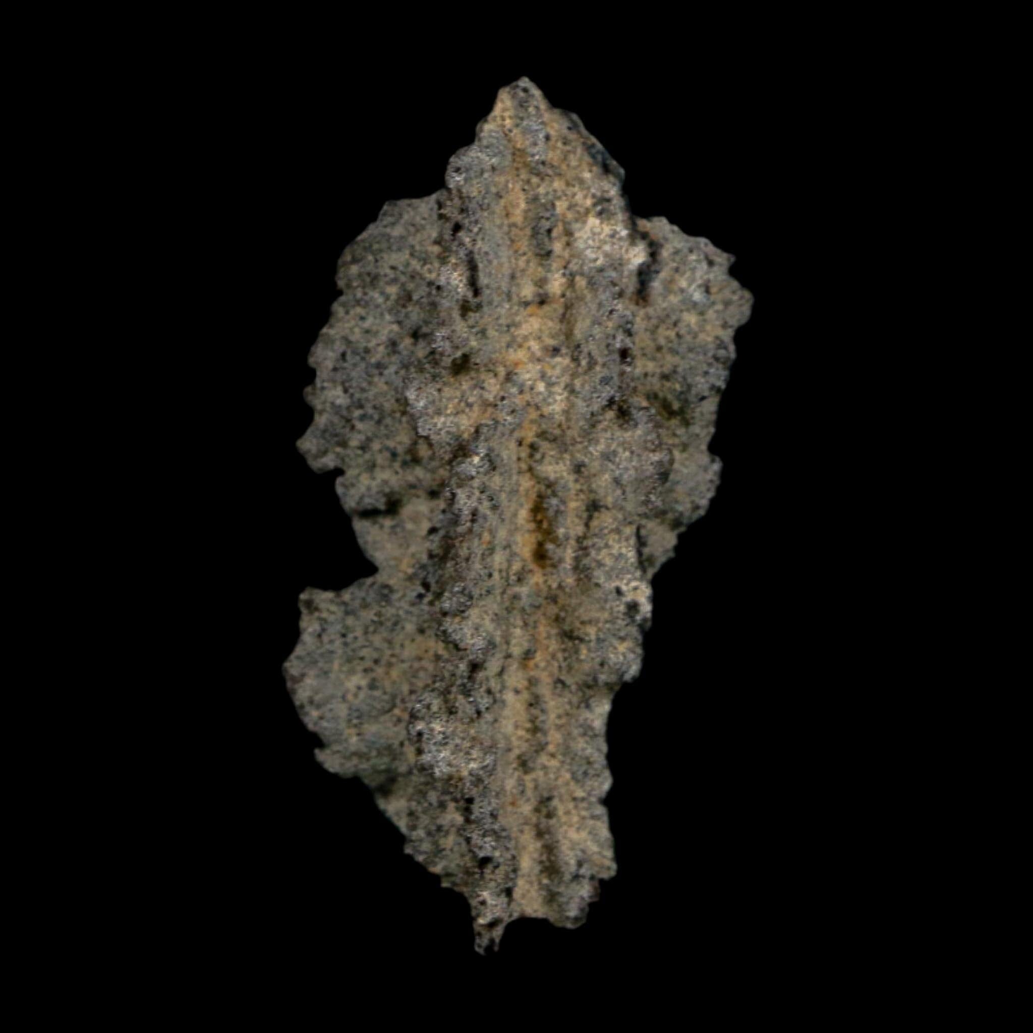 2.6" Fulgurite Petrified Lightning Strike Glass Sahara Desert Algeria - Fossil Age Minerals
