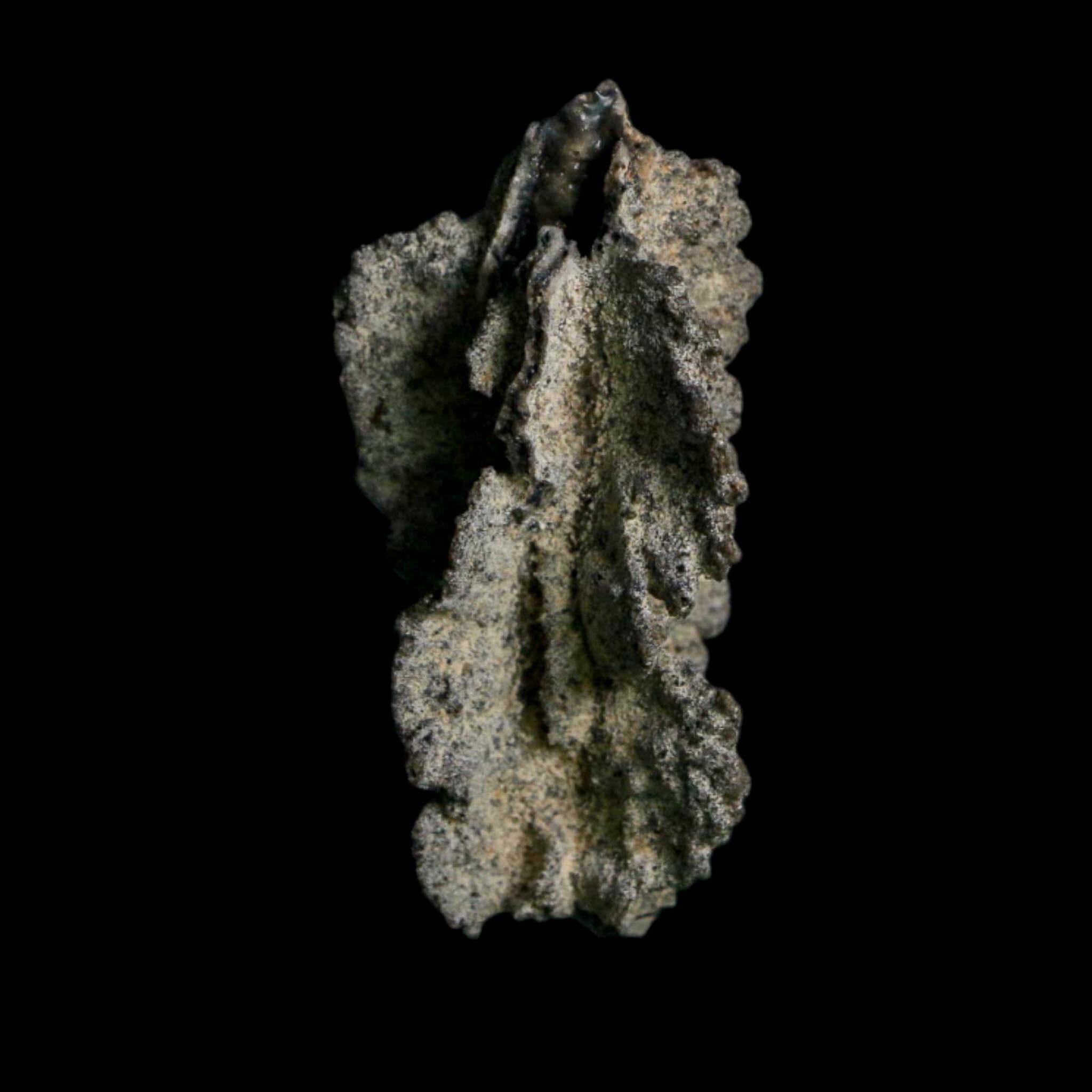 2.6" Fulgurite Petrified Lightning Strike Glass Sahara Desert Algeria - Fossil Age Minerals