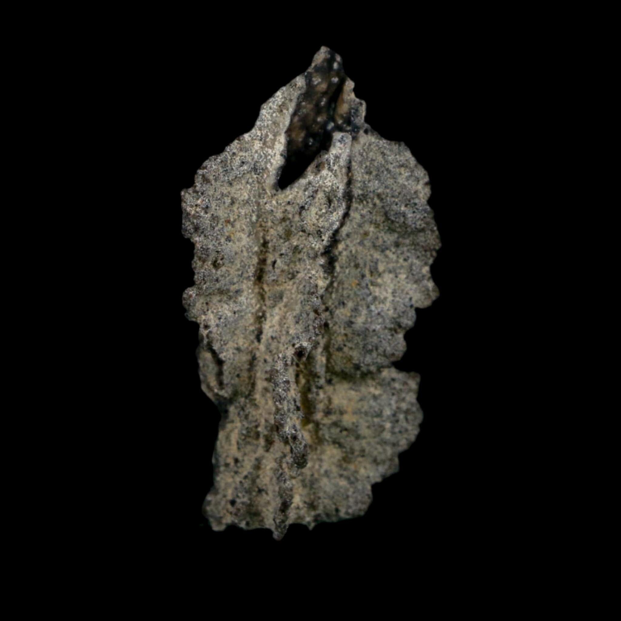 2.6" Fulgurite Petrified Lightning Strike Glass Sahara Desert Algeria - Fossil Age Minerals