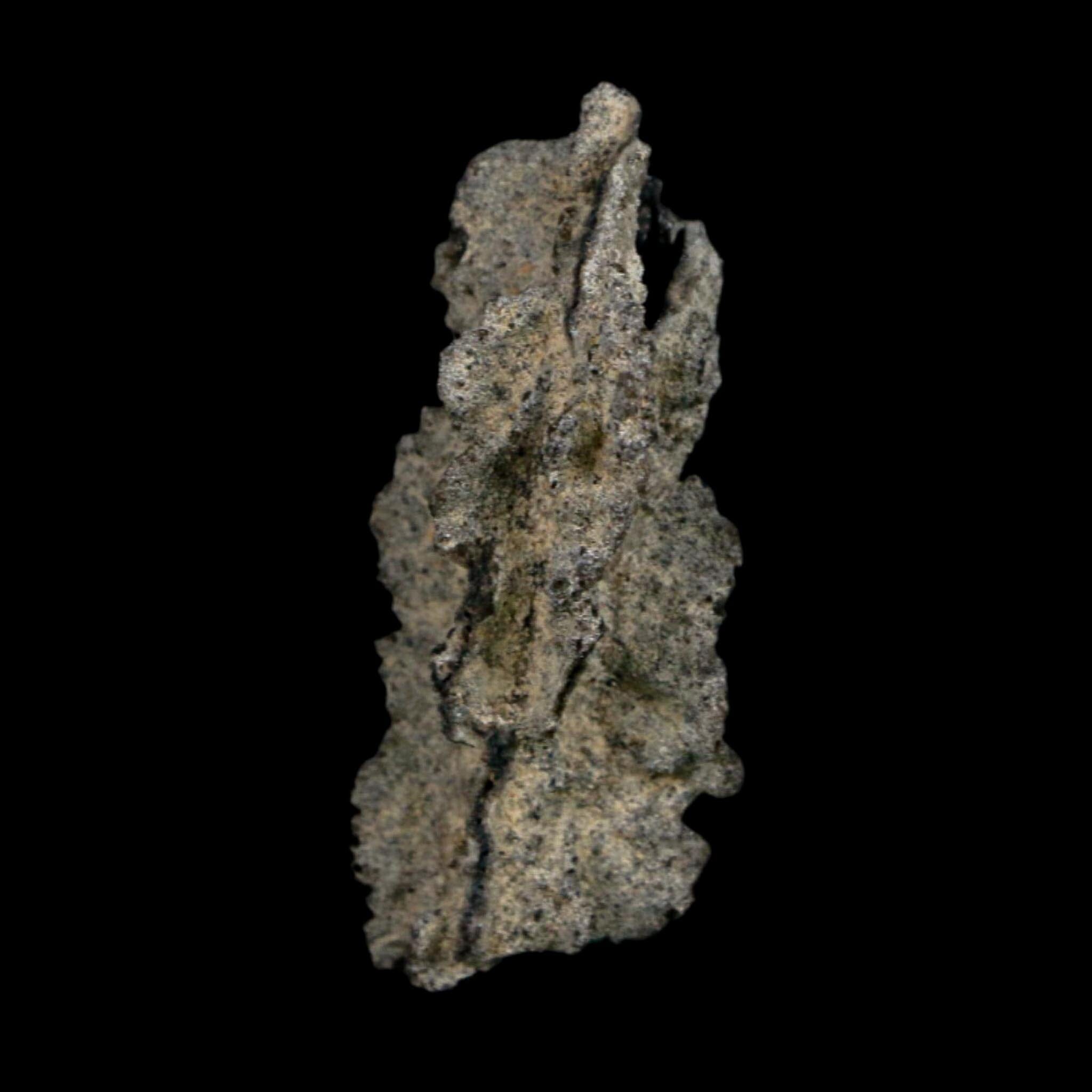 2.6" Fulgurite Petrified Lightning Strike Glass Sahara Desert Algeria - Fossil Age Minerals