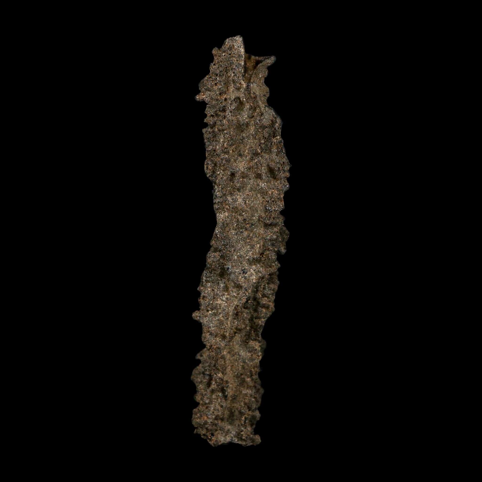 3.7" Fulgurite Petrified Lightning Strike Glass Sahara Desert Algeria - Fossil Age Minerals