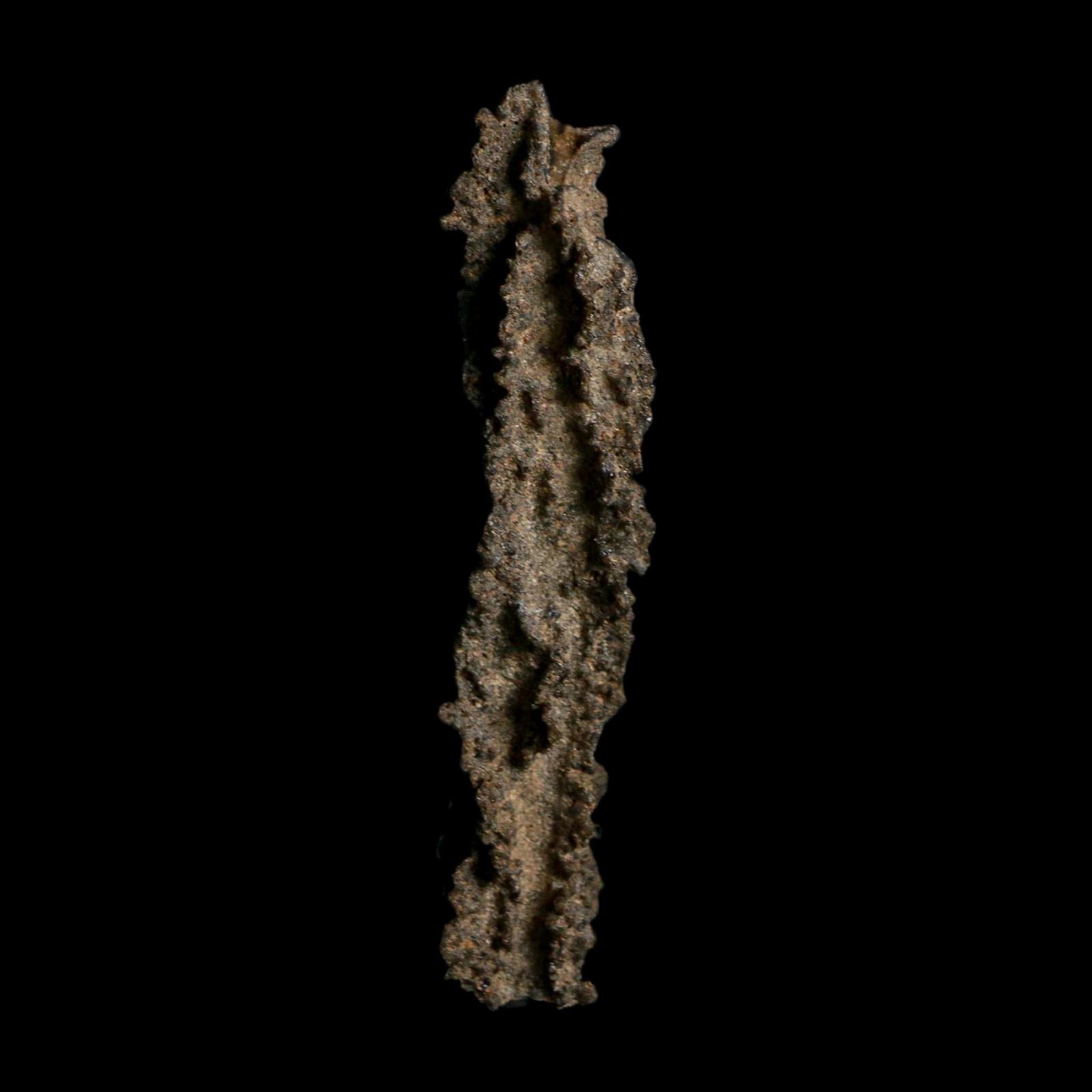 3.7" Fulgurite Petrified Lightning Strike Glass Sahara Desert Algeria - Fossil Age Minerals