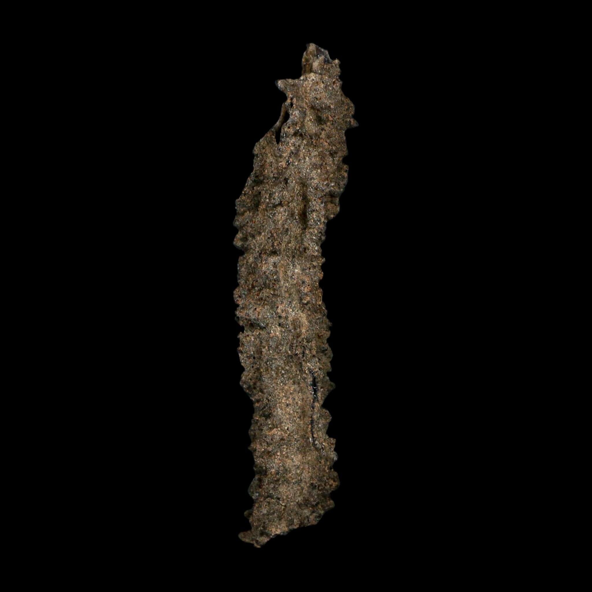 3.7" Fulgurite Petrified Lightning Strike Glass Sahara Desert Algeria - Fossil Age Minerals