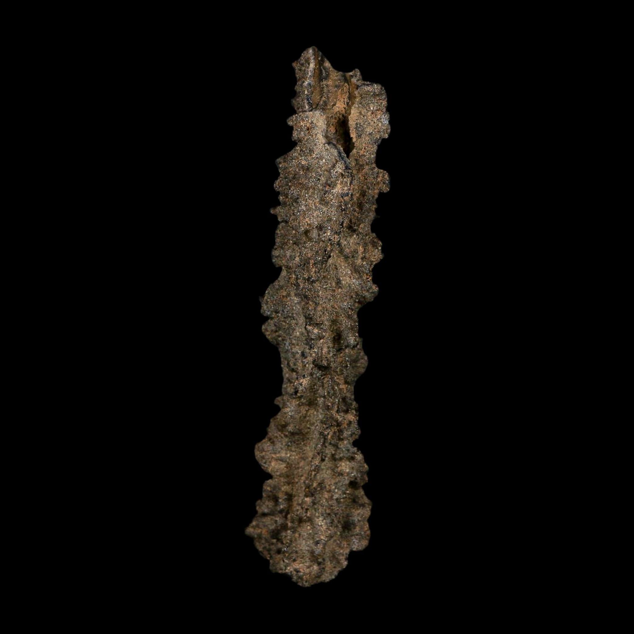 3.7" Fulgurite Petrified Lightning Strike Glass Sahara Desert Algeria - Fossil Age Minerals