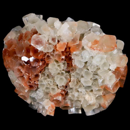 2.4" Aragonite Mineral Two Tone Crystal Cluster Specimen Tazouta Morocco