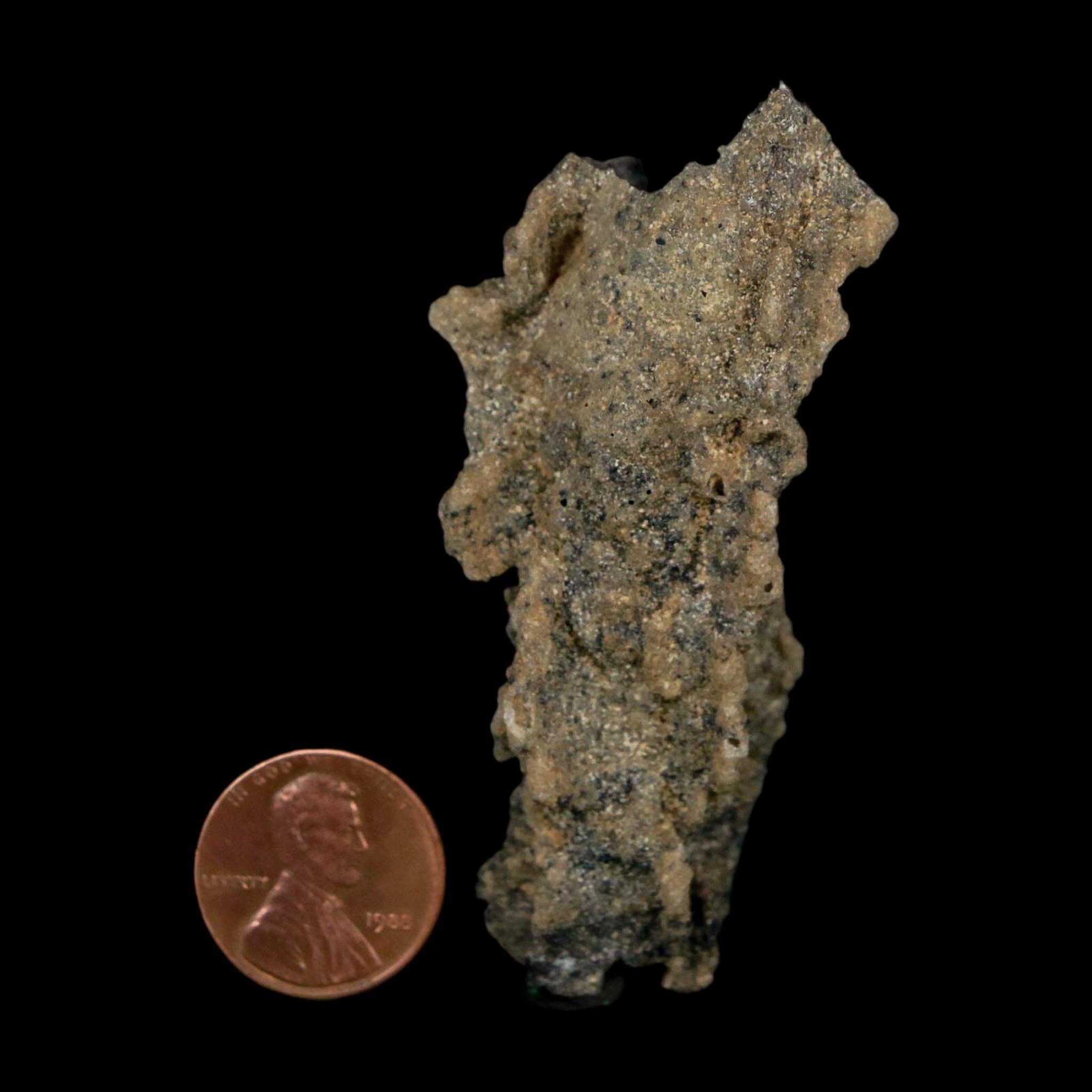 2.7" Fulgurite Petrified Lightning Strike Glass Sahara Desert Algeria - Fossil Age Minerals