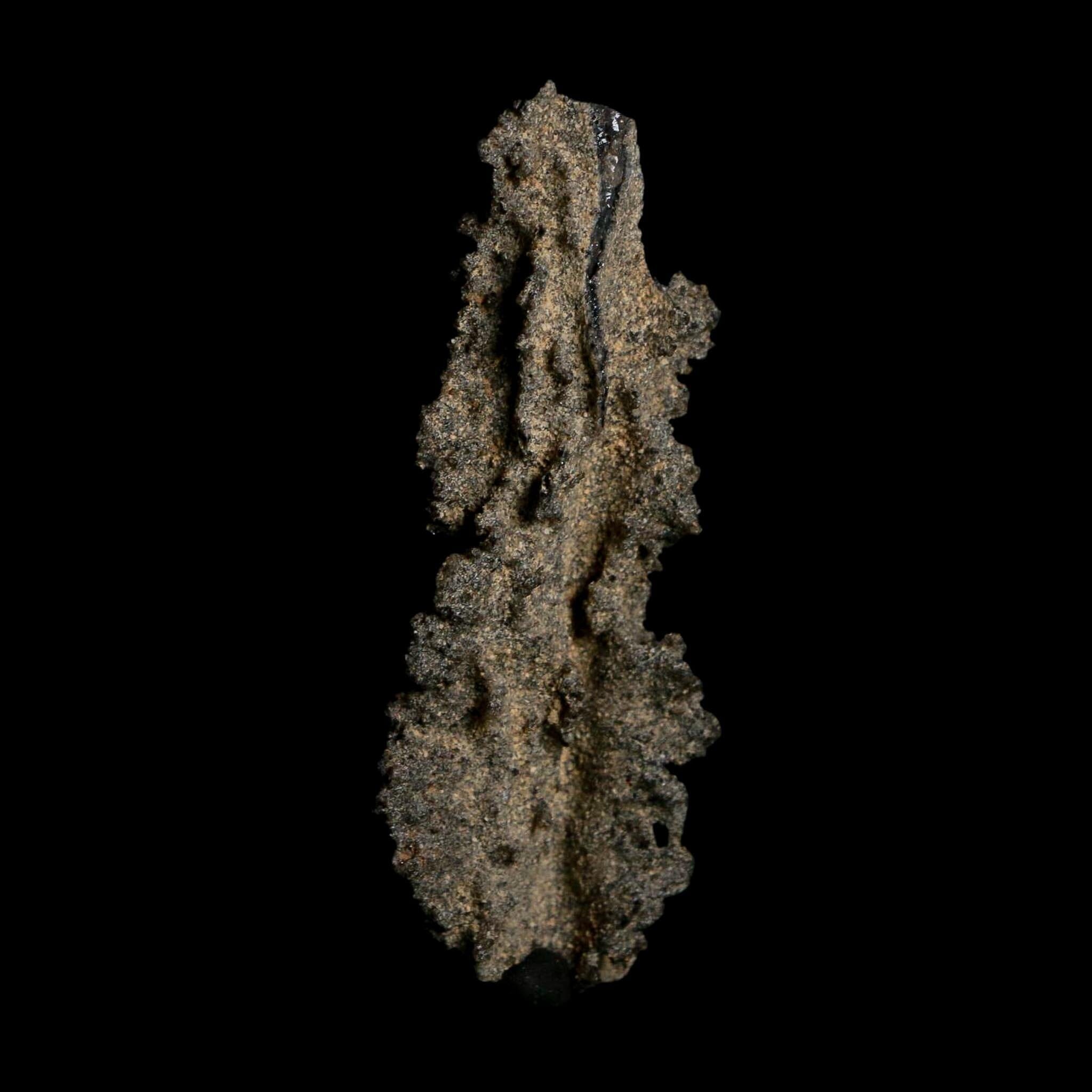 2.9" Fulgurite Petrified Lightning Strike Glass Sahara Desert Algeria - Fossil Age Minerals
