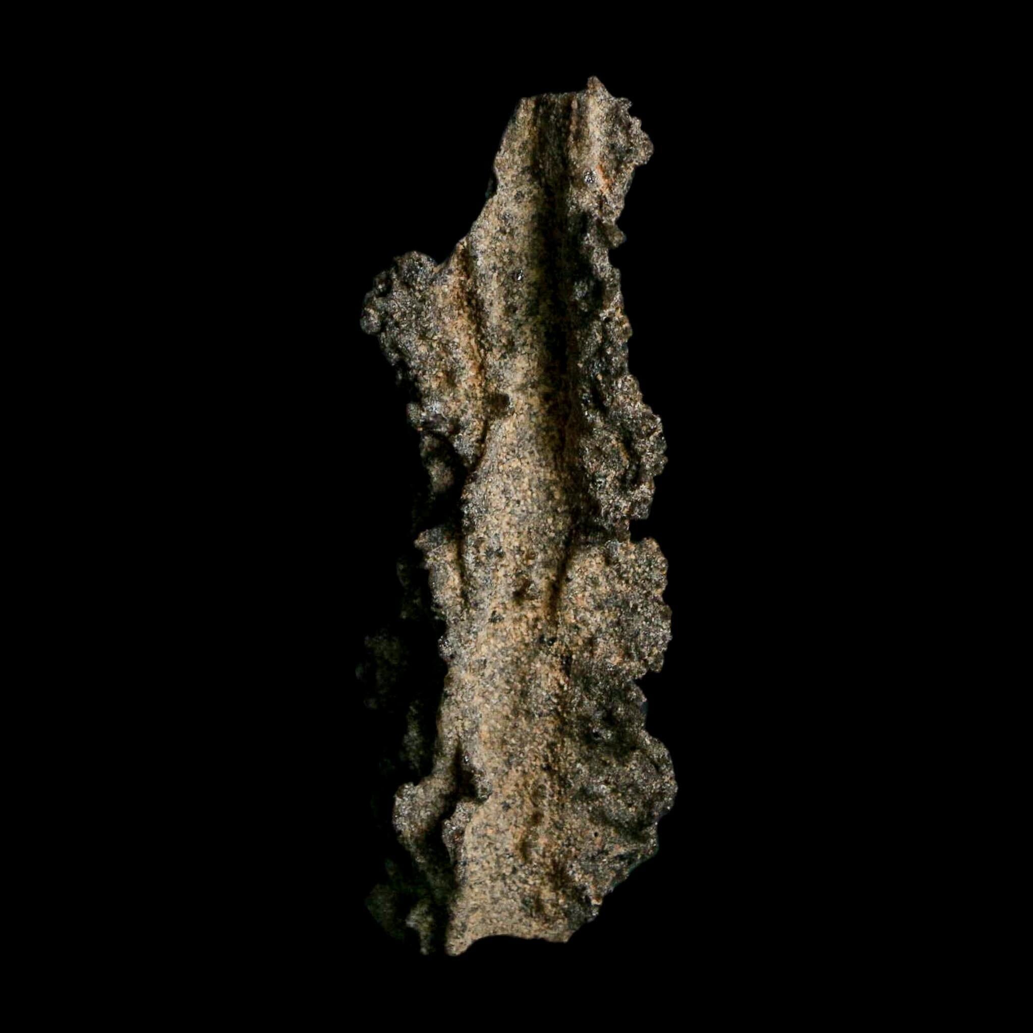 2.9" Fulgurite Petrified Lightning Strike Glass Sahara Desert Algeria - Fossil Age Minerals