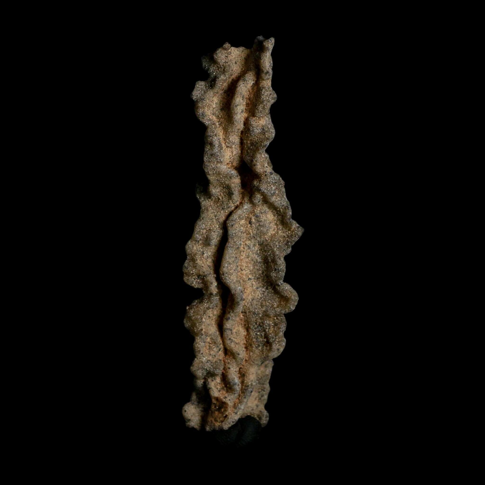 3.7" Fulgurite Petrified Lightning Strike Glass Sahara Desert Algeria - Fossil Age Minerals