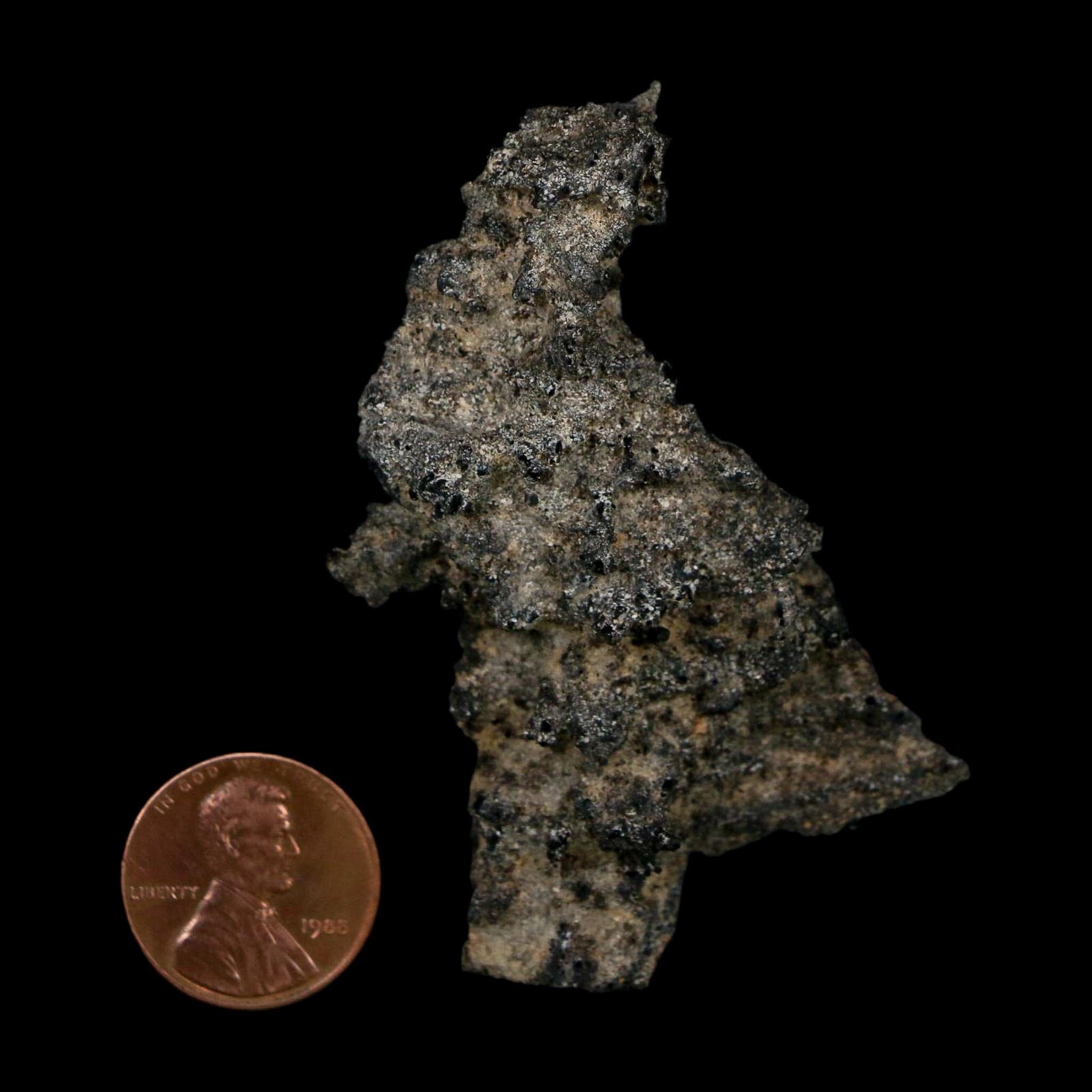 2.6" Fulgurite Petrified Lightning Strike Glass Sahara Desert Algeria - Fossil Age Minerals