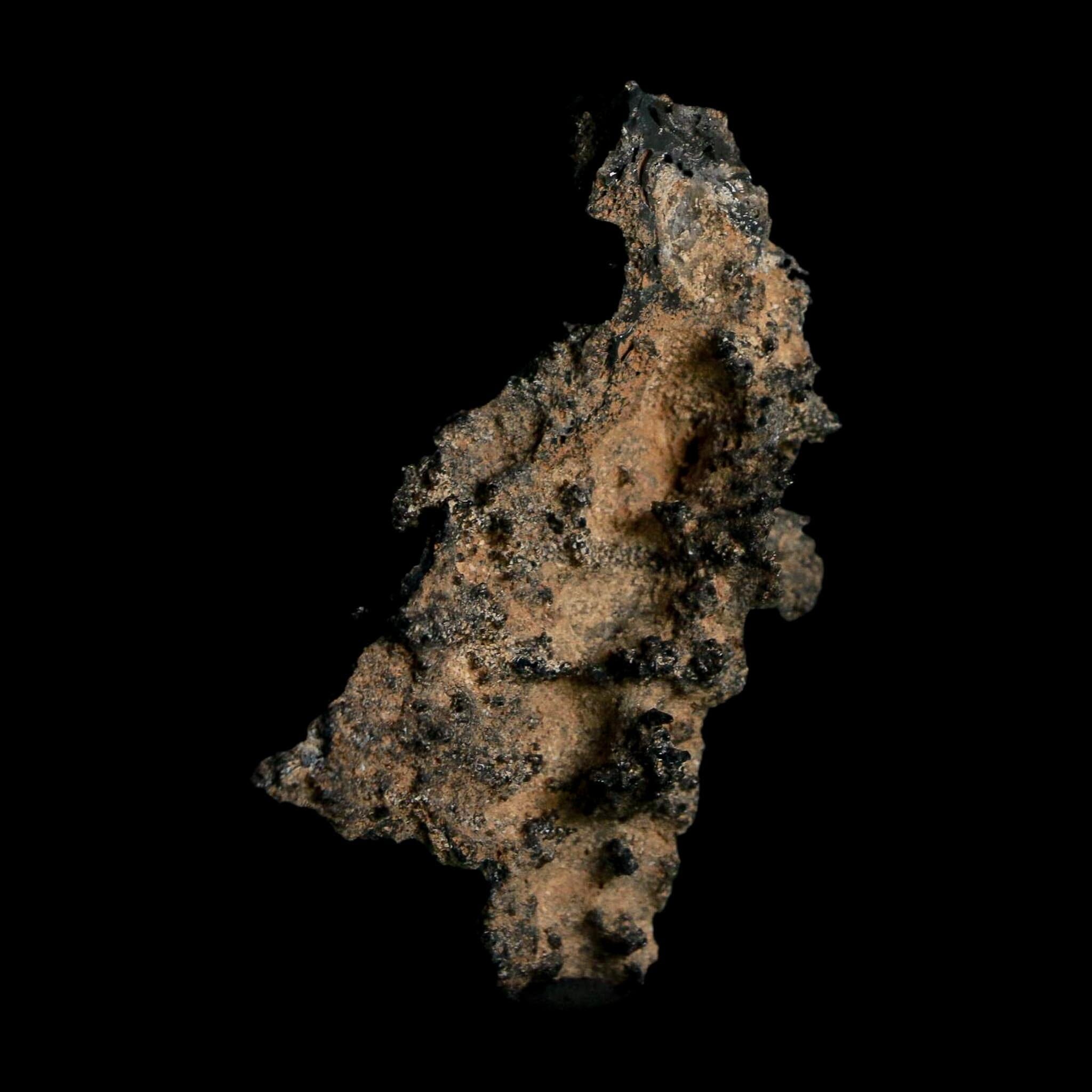 2.6" Fulgurite Petrified Lightning Strike Glass Sahara Desert Algeria - Fossil Age Minerals