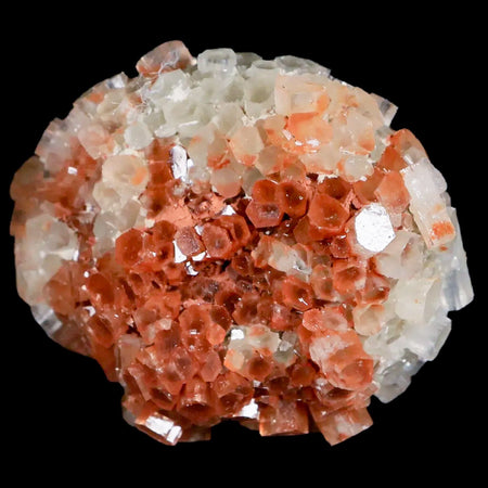 2.3" Aragonite Mineral Two Tone Crystal Cluster Specimen Tazouta Morocco