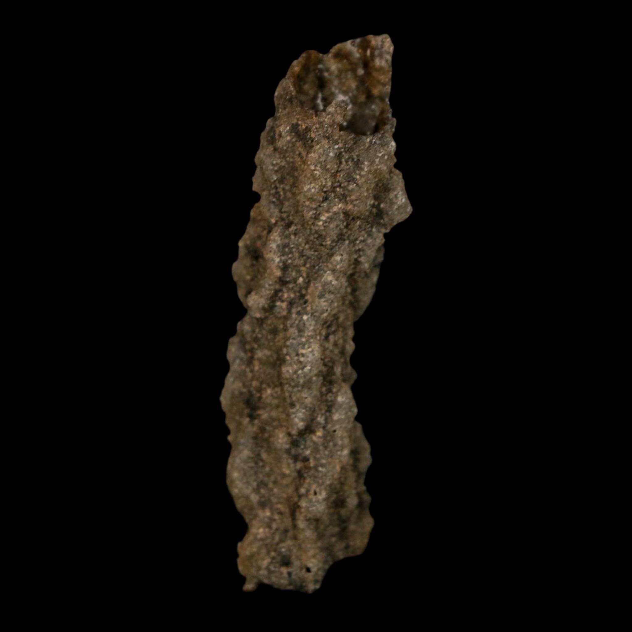 2.3" Fulgurite Petrified Lightning Strike Glass Sahara Desert Algeria - Fossil Age Minerals