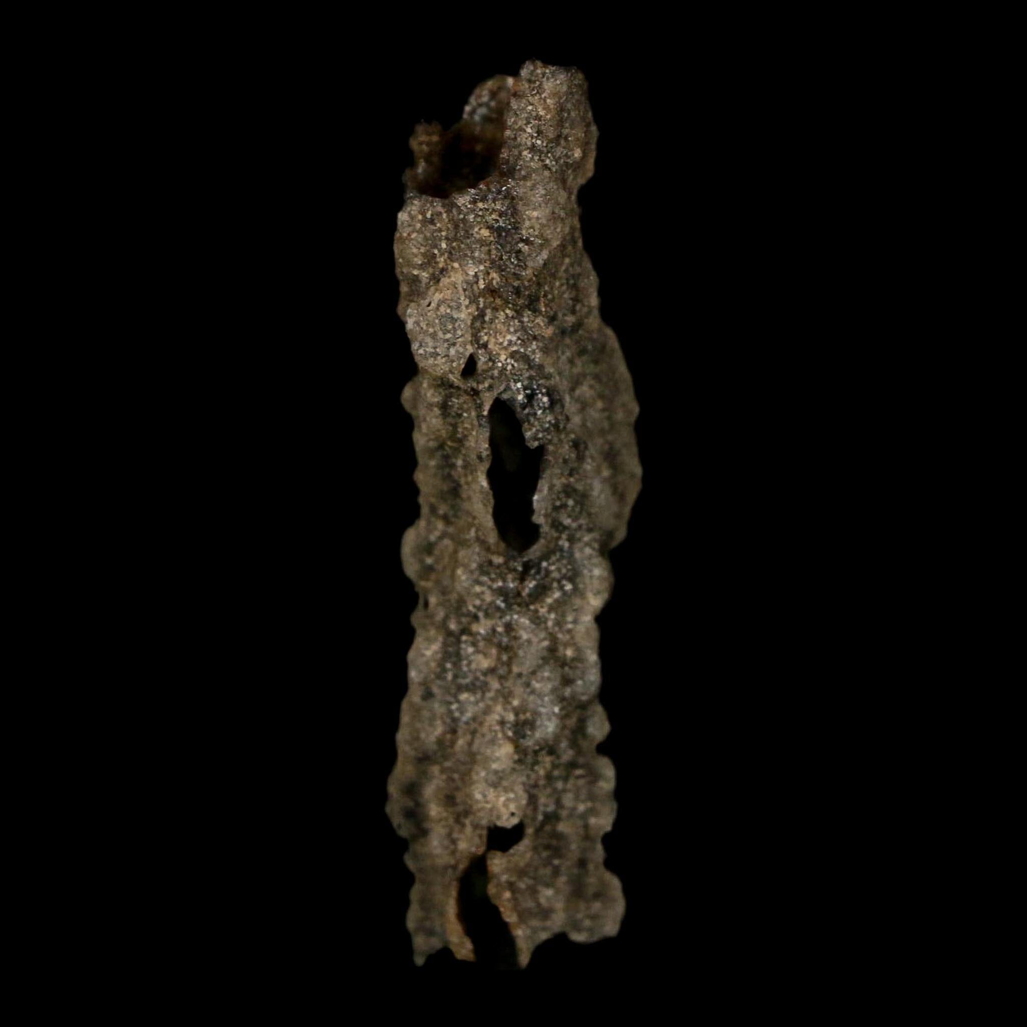 2.3" Fulgurite Petrified Lightning Strike Glass Sahara Desert Algeria - Fossil Age Minerals