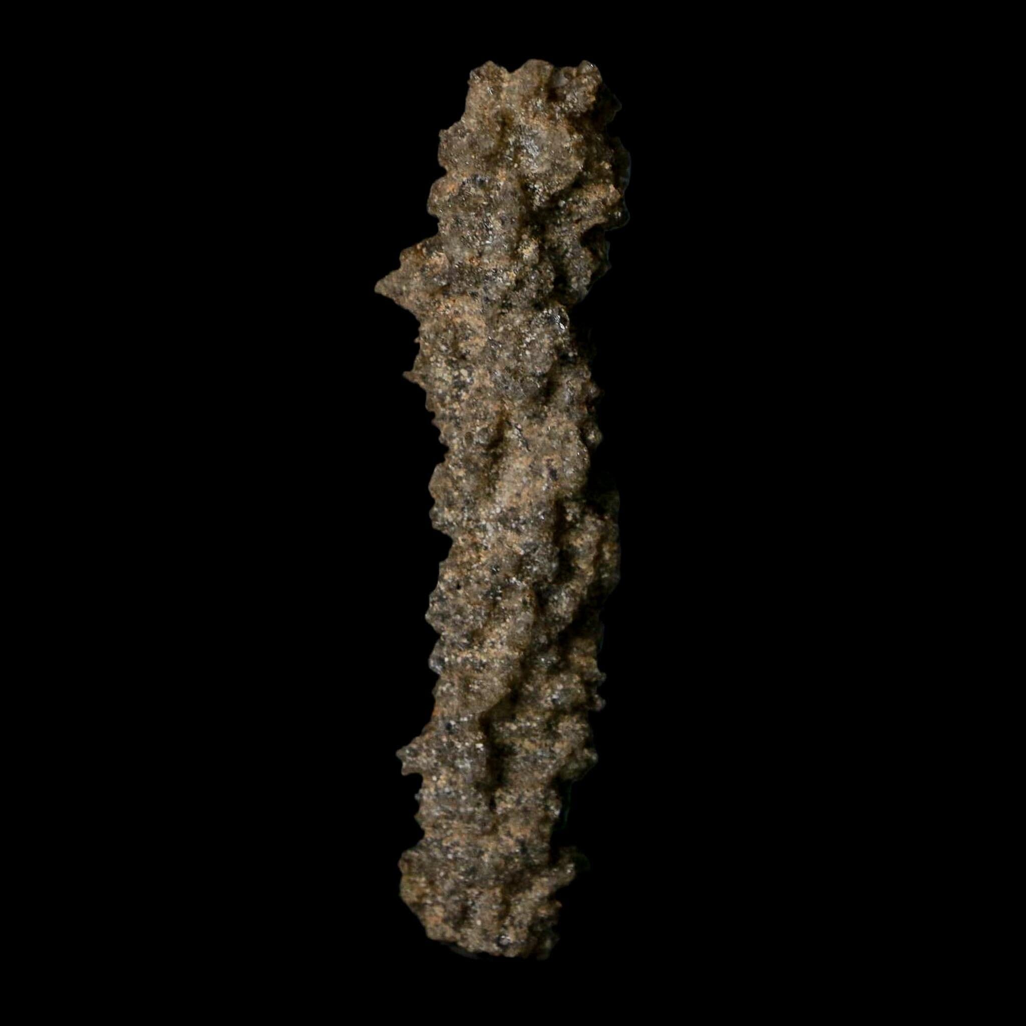 2.8" Fulgurite Petrified Lightning Strike Glass Sahara Desert Algeria - Fossil Age Minerals
