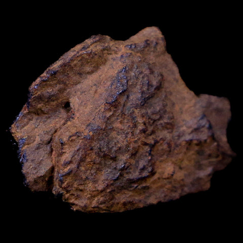 Bendege Meteorite Specimen Riker Display Bendege Bahia Brazil 3.1 Grams - Fossil Age Minerals