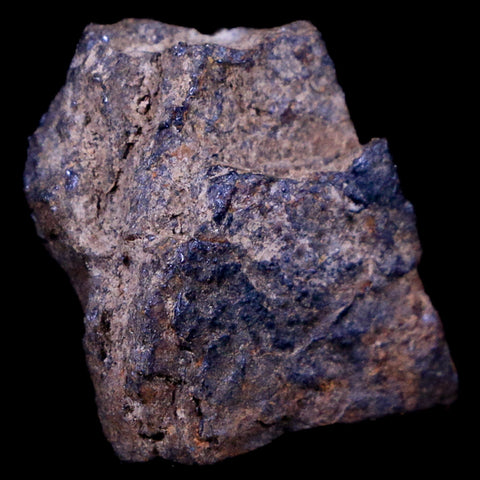Bendege Meteorite Specimen Riker Display Bendege Bahia Brazil 9.1 Grams - Fossil Age Minerals