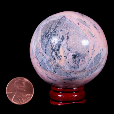 XL 52MM Natural Rhodonite Mineral Crystal Sphere Ball Peru Rosewood Stand - Fossil Age Minerals