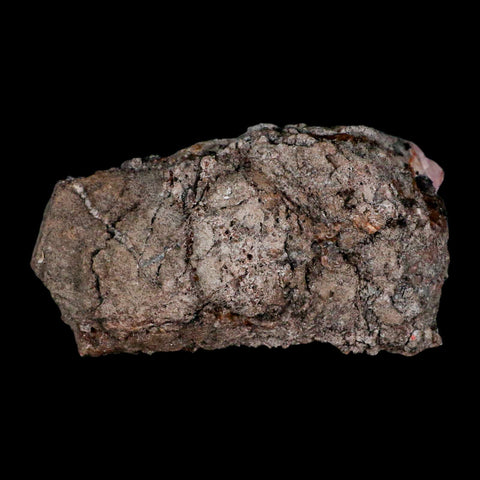 4.5" Pink Cobaltoan Calcite Natural Crystal Druzy Cobalt Mineral Bou Azzer Morocco - Fossil Age Minerals