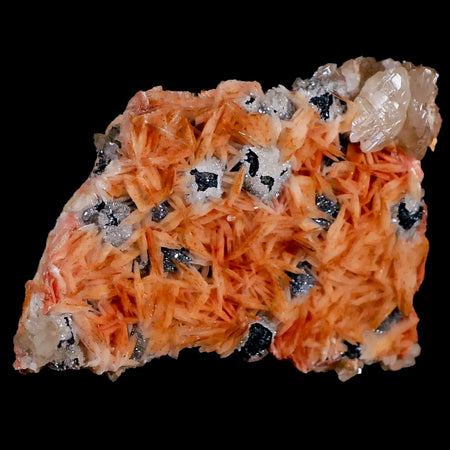 3.1" Sparkly Orange Barite Blades, Cerussite Crystals, Galena Crystal Mineral Morocco