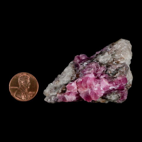2.5" Pink Cobaltoan Calcite Natural Crystal Druzy Cobalt Mineral Bou Azzer Morocco - Fossil Age Minerals